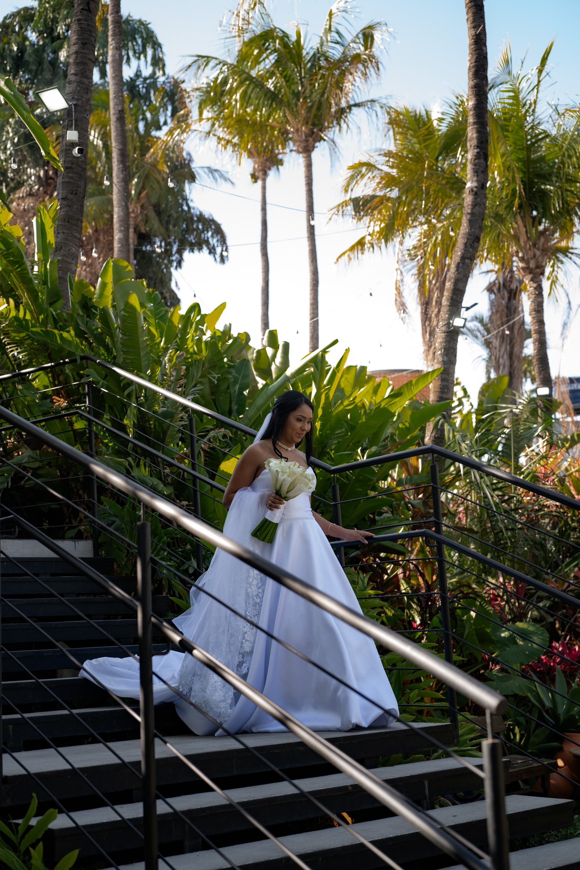 Novos Tempos Wedding