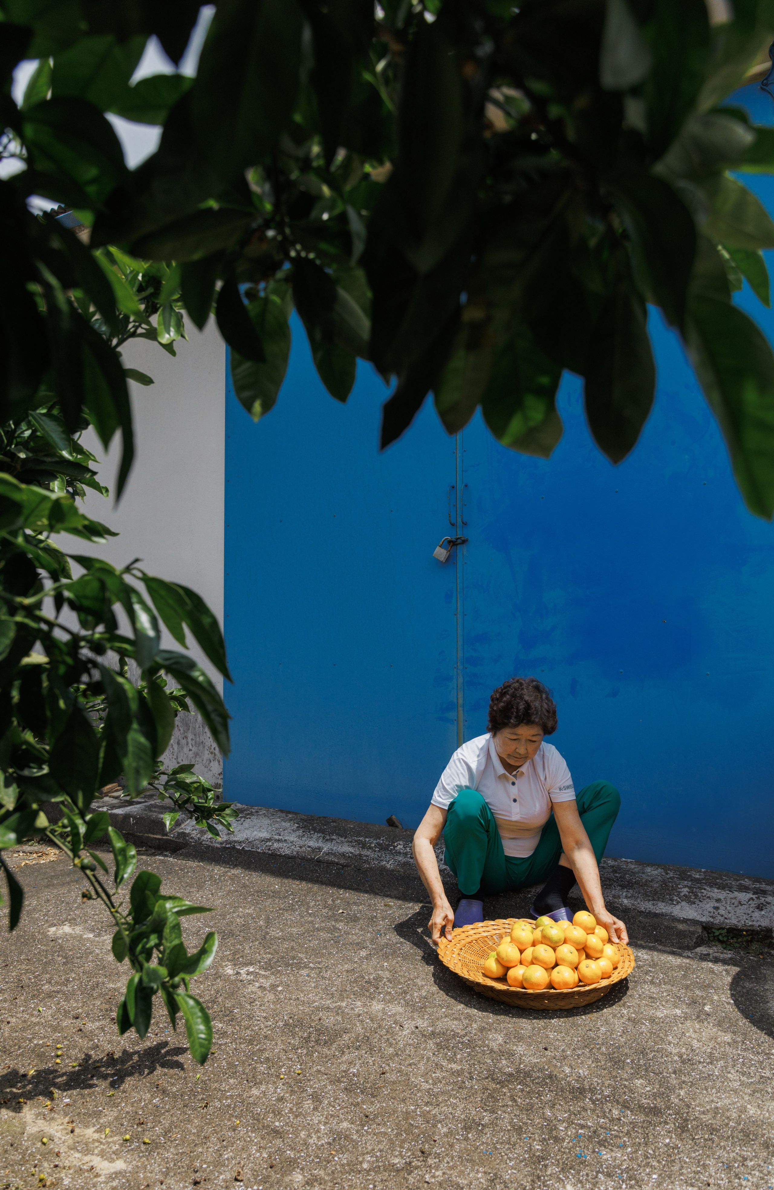 Jeju Island K-Beauty Tour (bohicare). Portrait photographer in South Korea Olga Lian