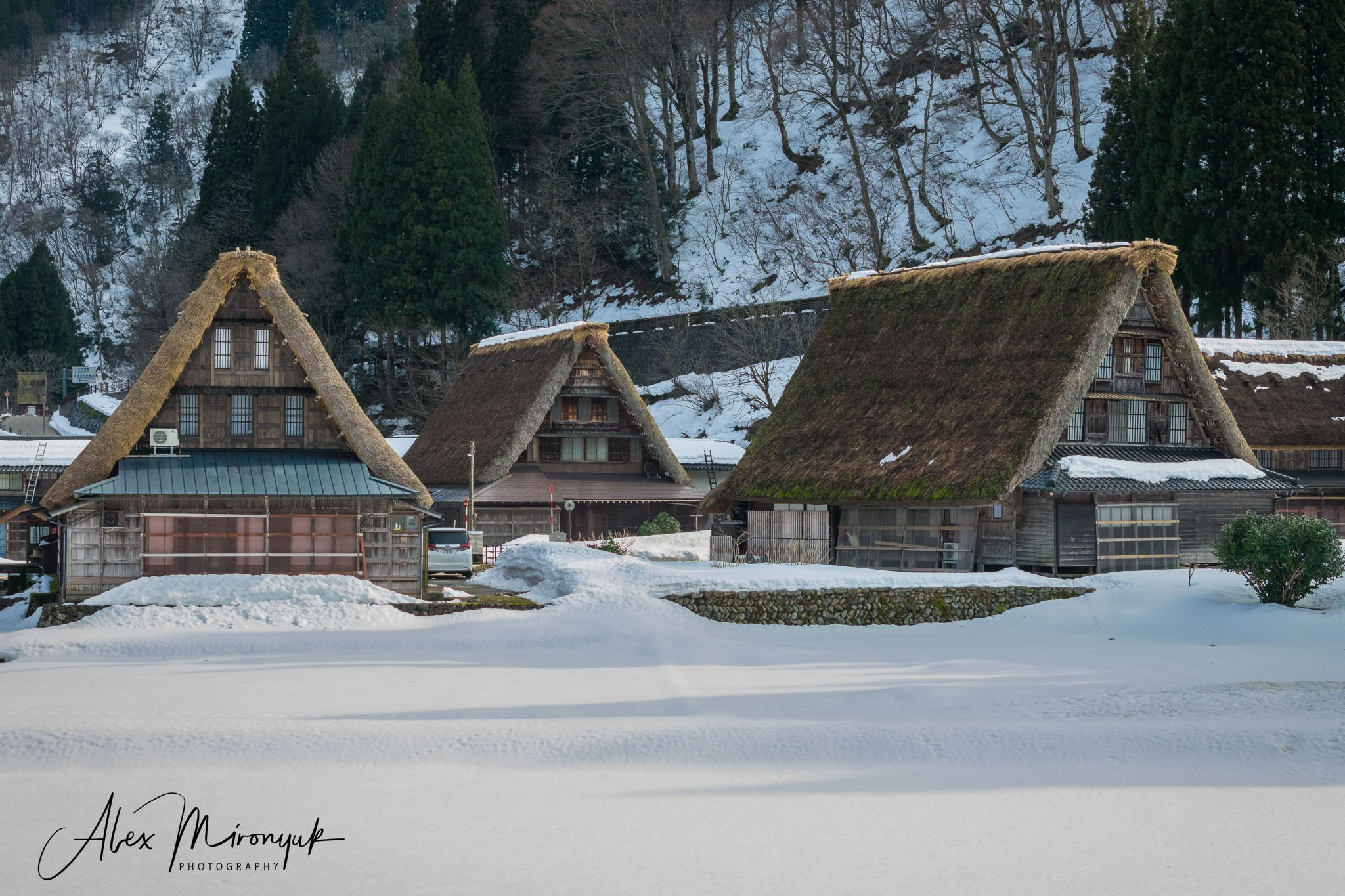 Winter Japan: Snow Monkeys, Castles & Timeless Villages. Pet, Senior, Landscape, portrait studio, photographer in Miami and Sou