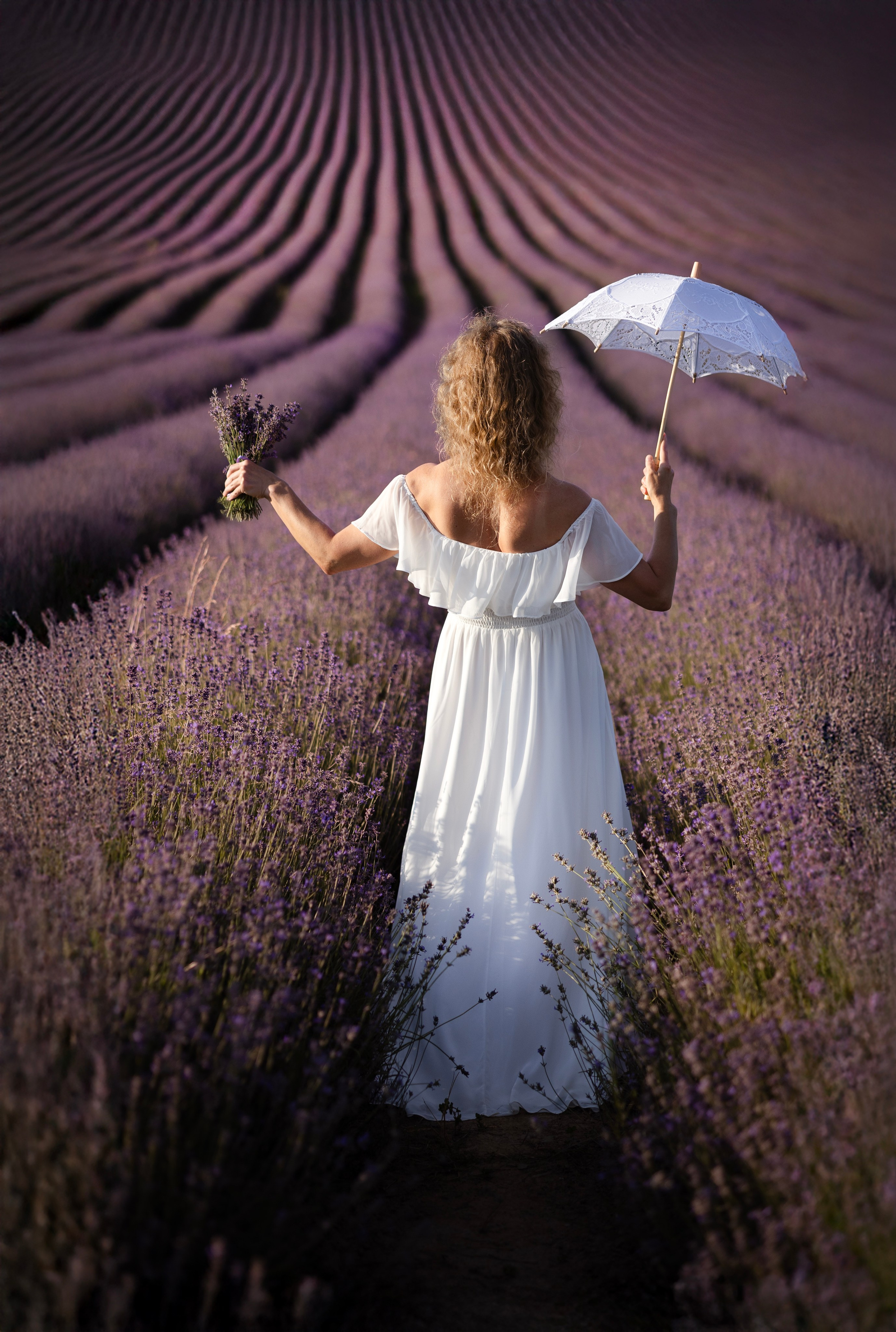 Lavendel. Photographer in Munich