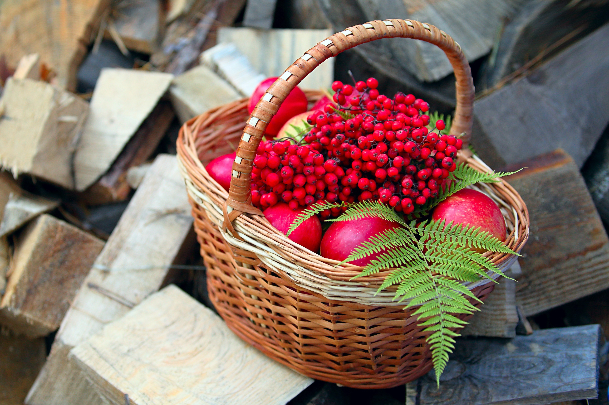 Светлана. Татьяна Колчанова | Профессиональный фотограф в Новокузнецке