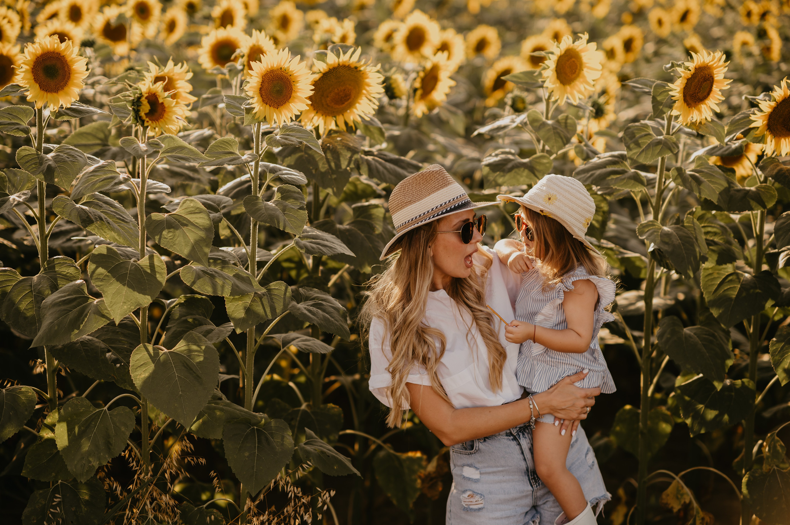 Polje suncokreta. Ana Sladojevic