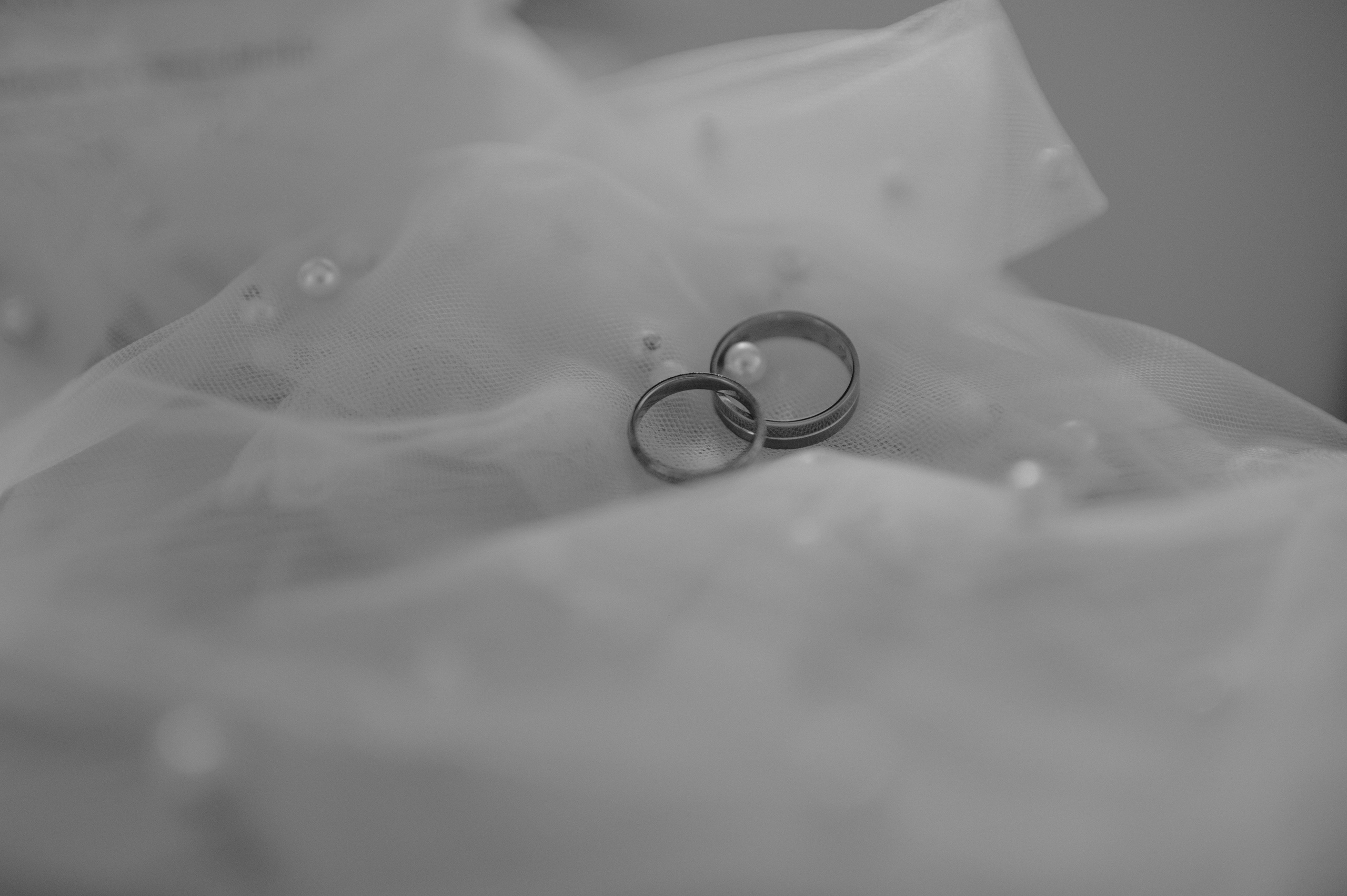 Tamara & Draško. Ana Sladojevic