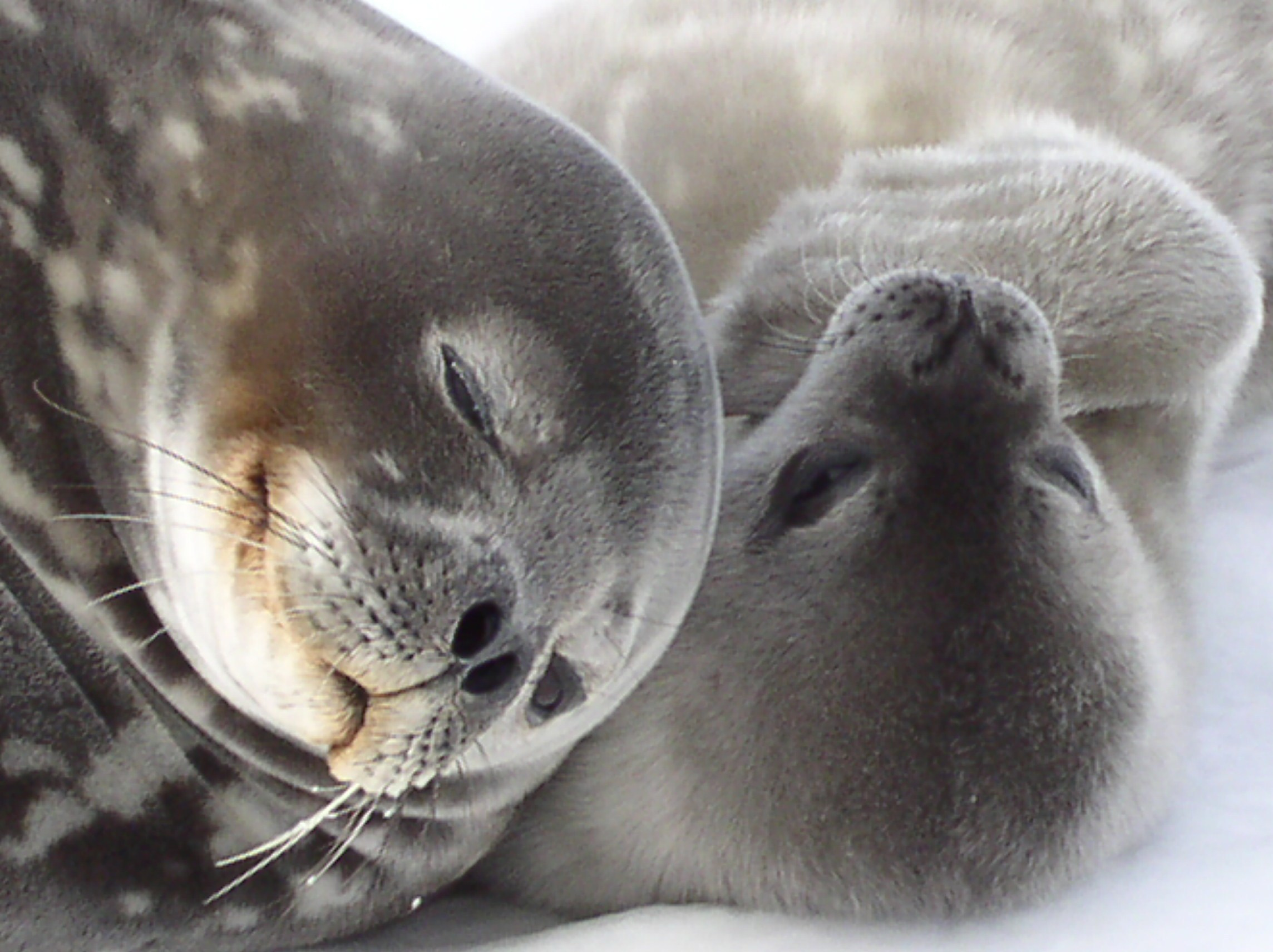 Reportage concert portrait photography in the San Francisco Bay Area