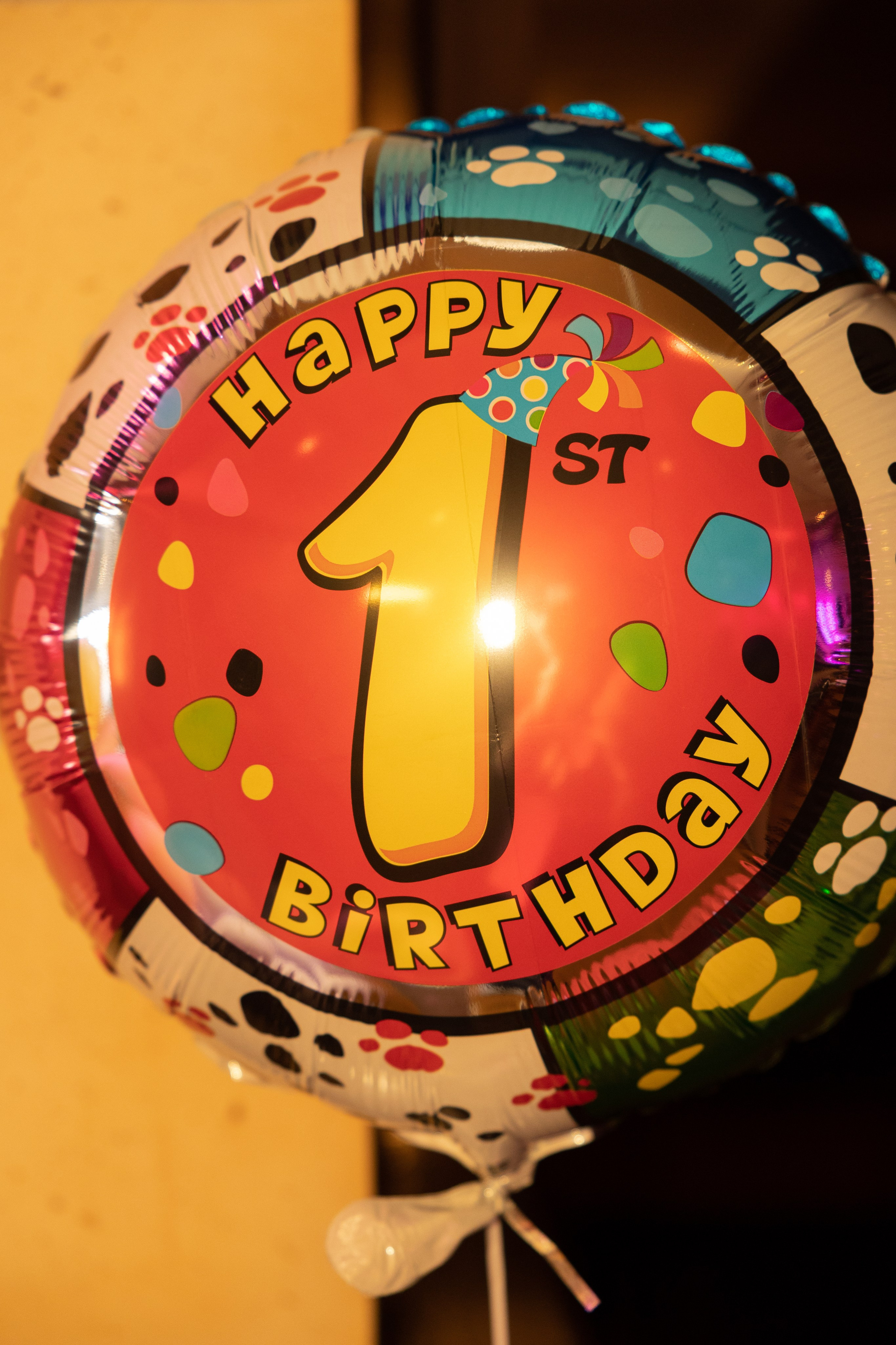 1 st Birthday. Portrait and Family Photographer in Netherlands