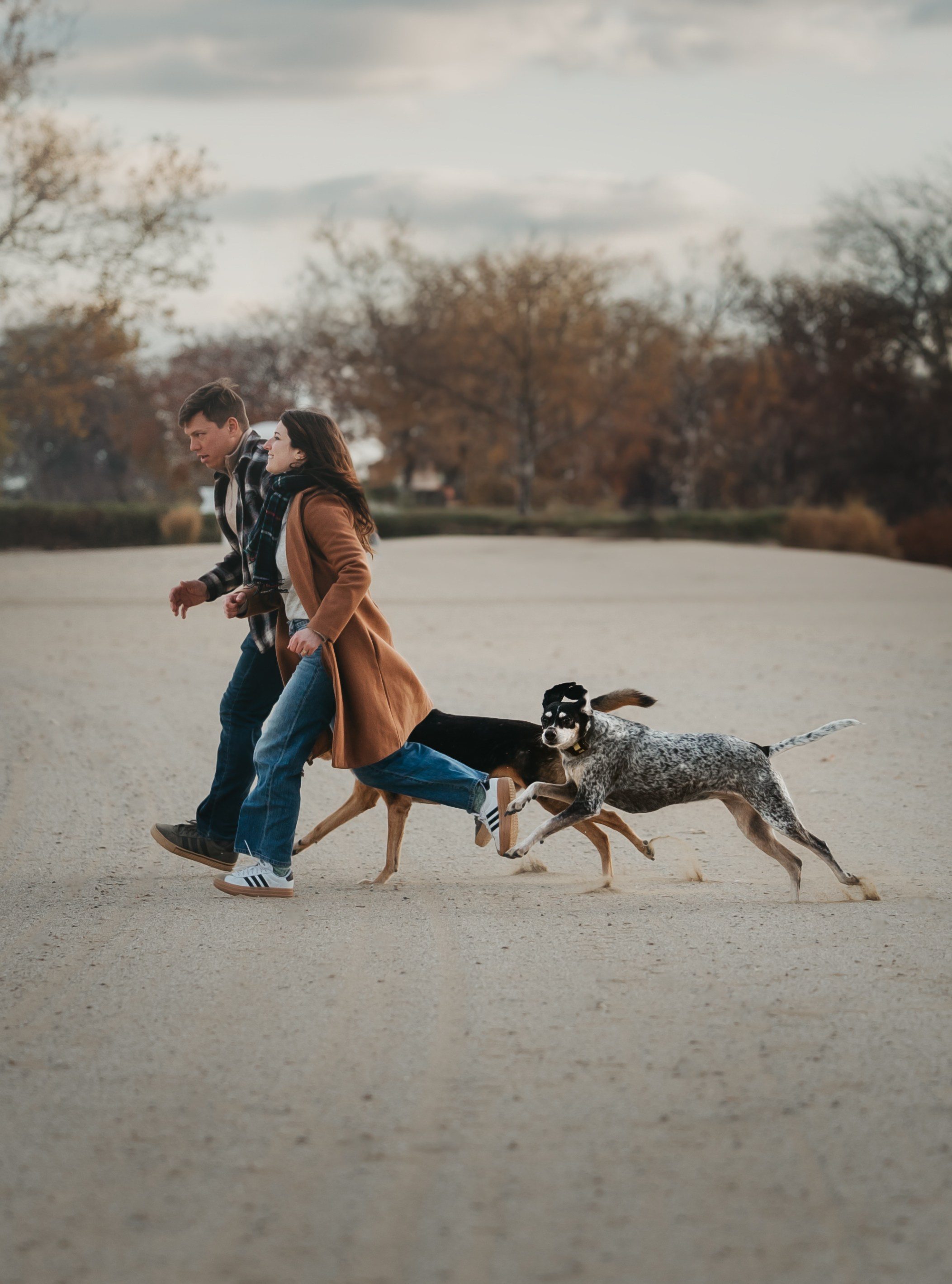 Racer & Delly. Pet Photographer Viktoriya Aleshenko