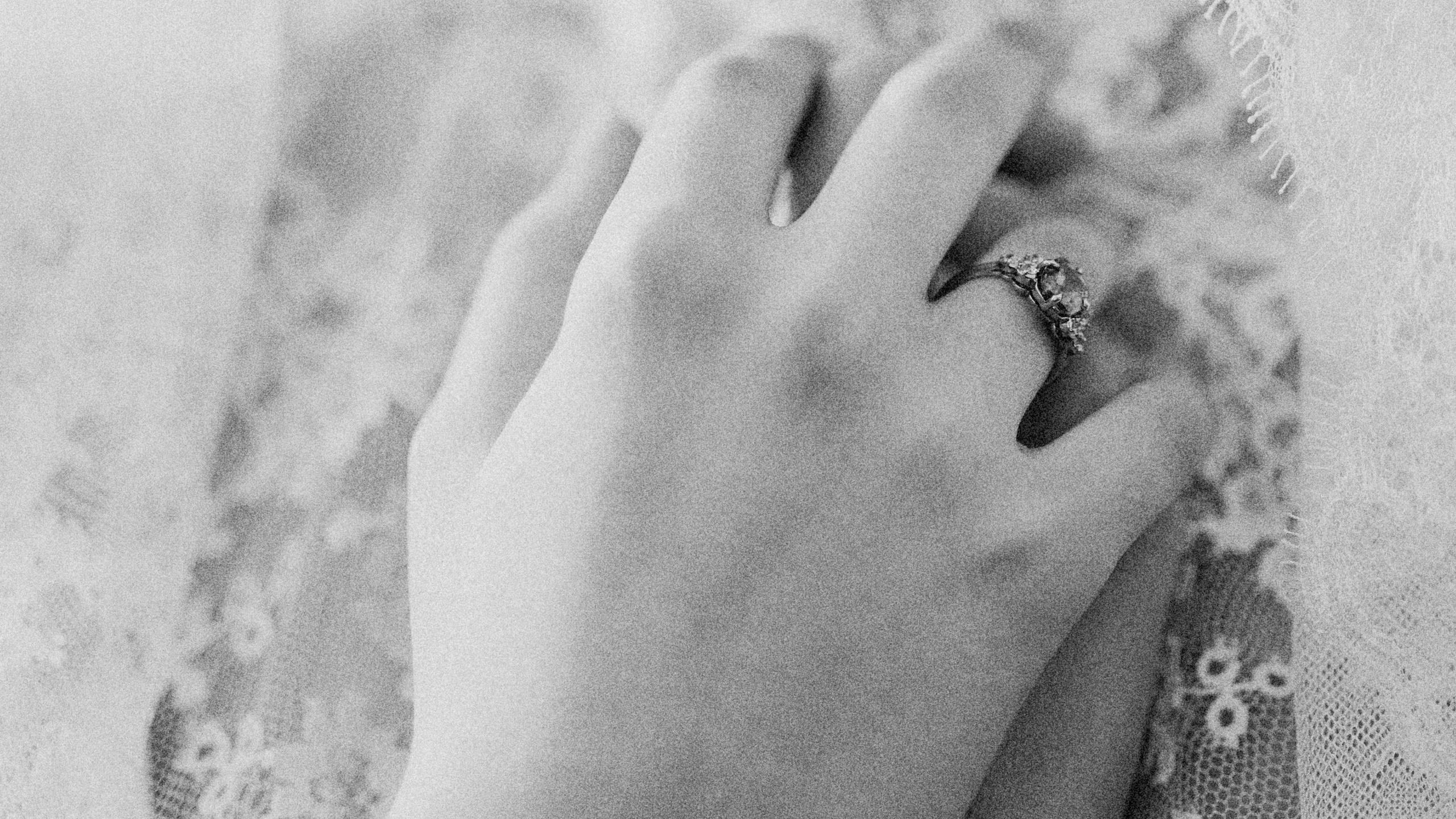 INICIO (copia segu 1). Josep Gil - fotografia