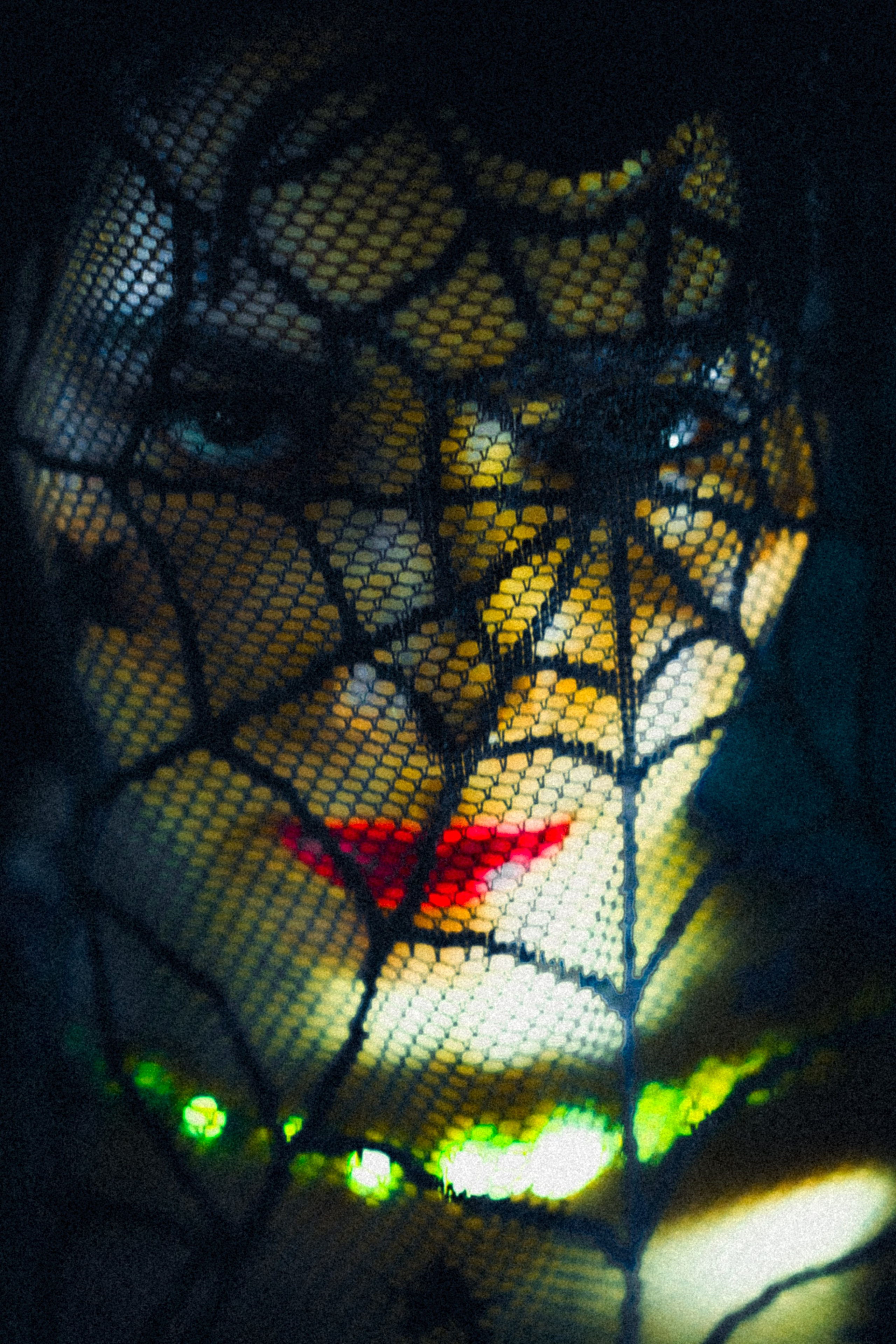 UMI PROJECT. Anna Miyauchi