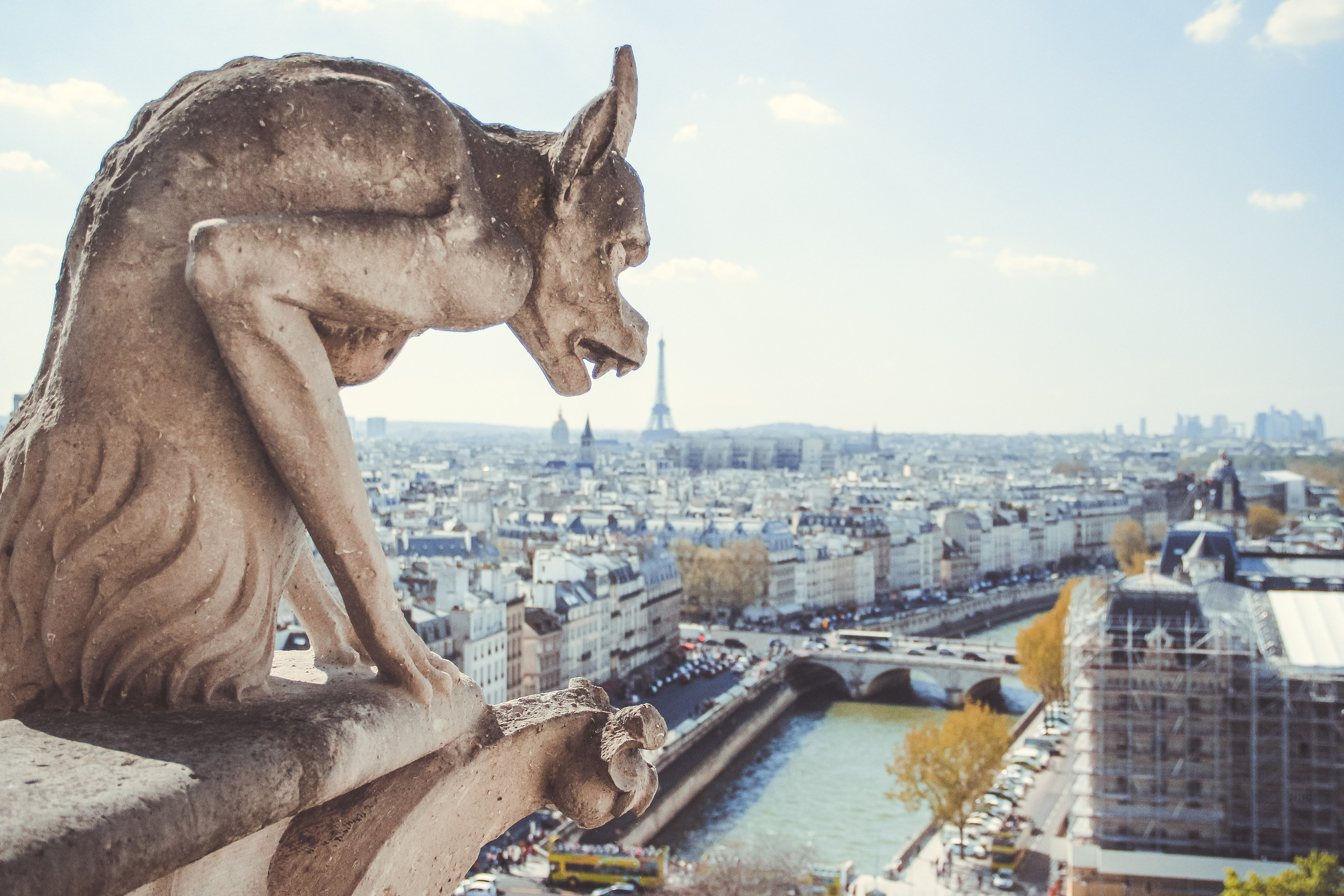 Увидеть Париж десять лет спустя. Фотограф в Германии — Мария Чистякова