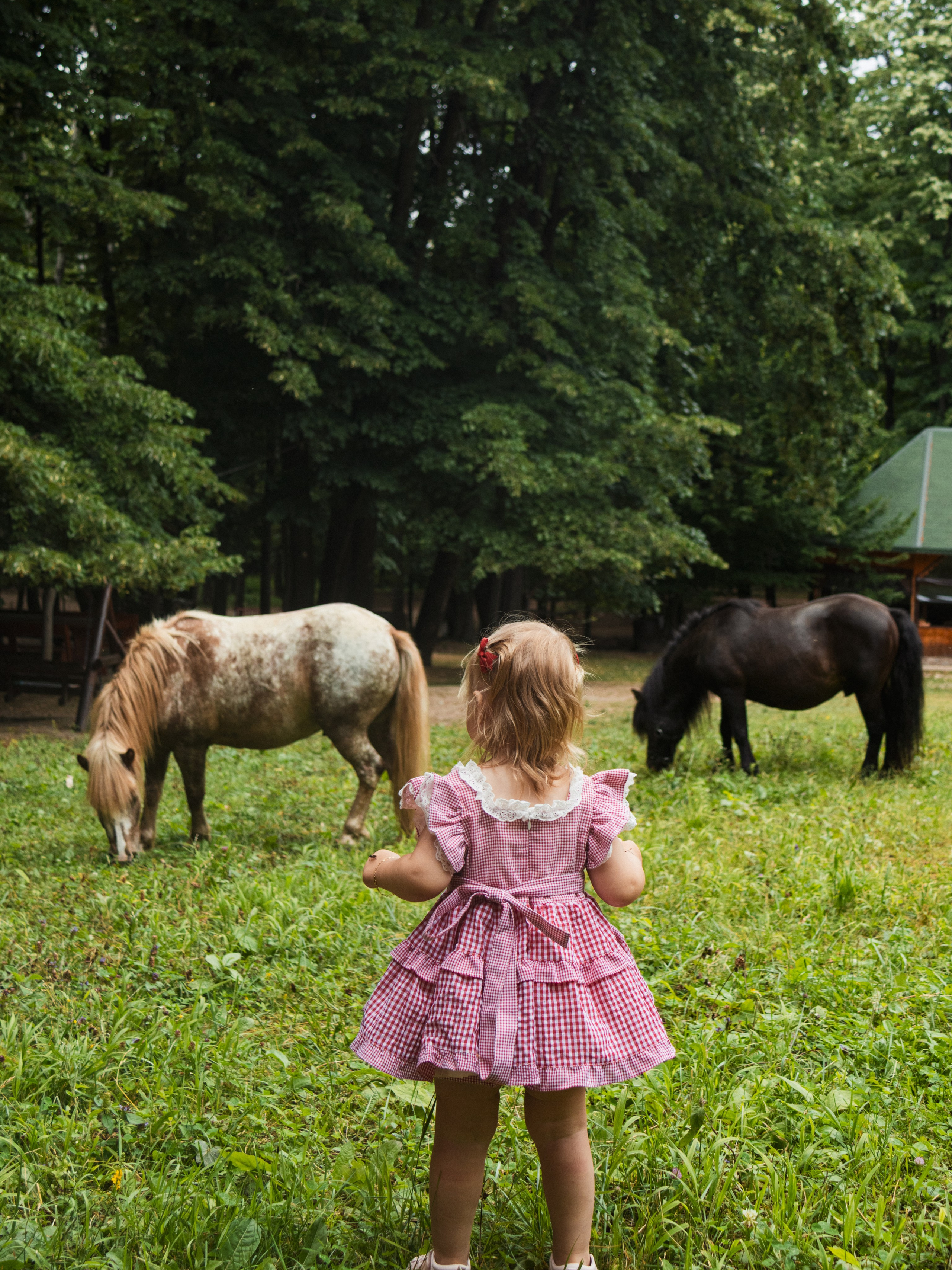 Family Session — Farm with Ponies