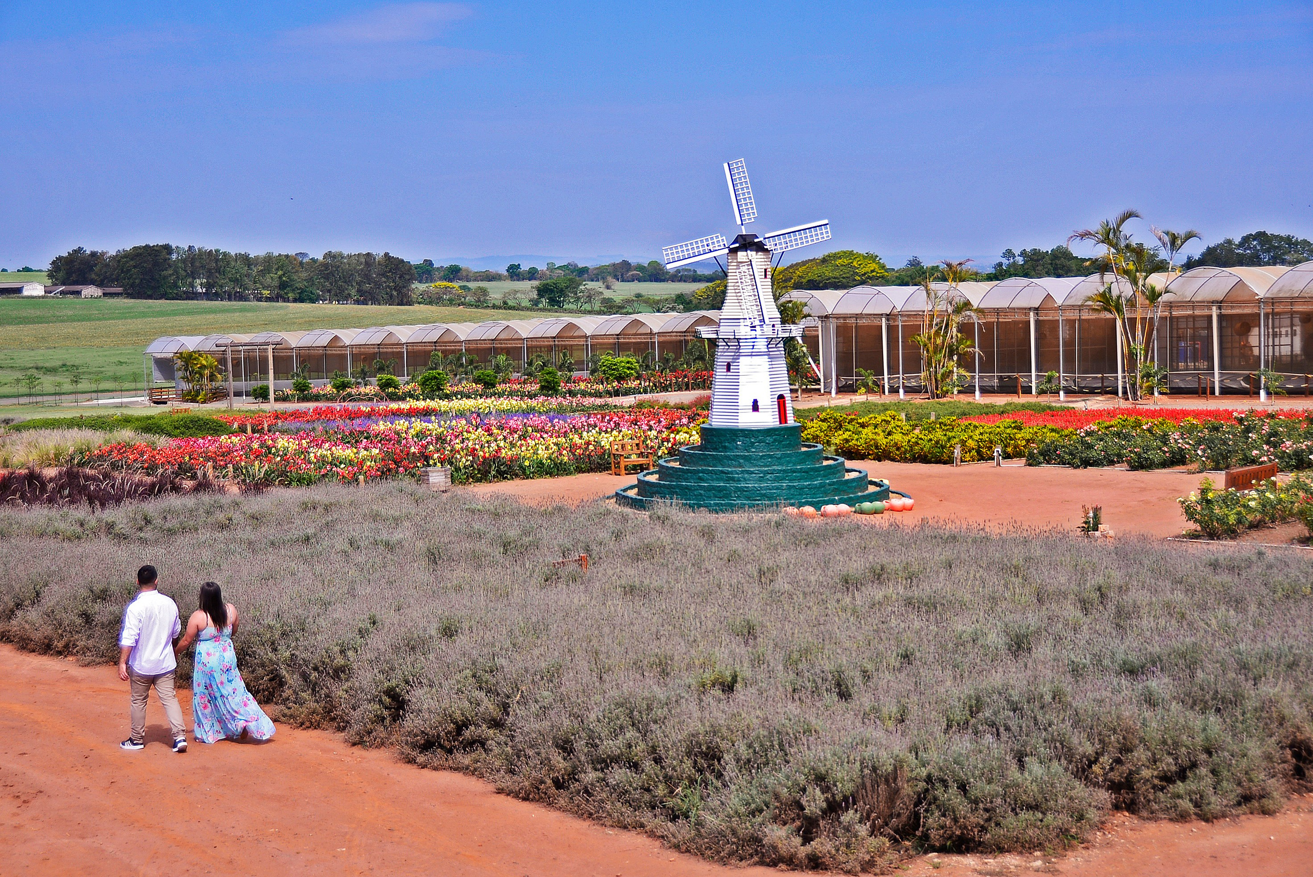 Vanessa & Victor — Campo Macena, Holambra. Produtora Bride