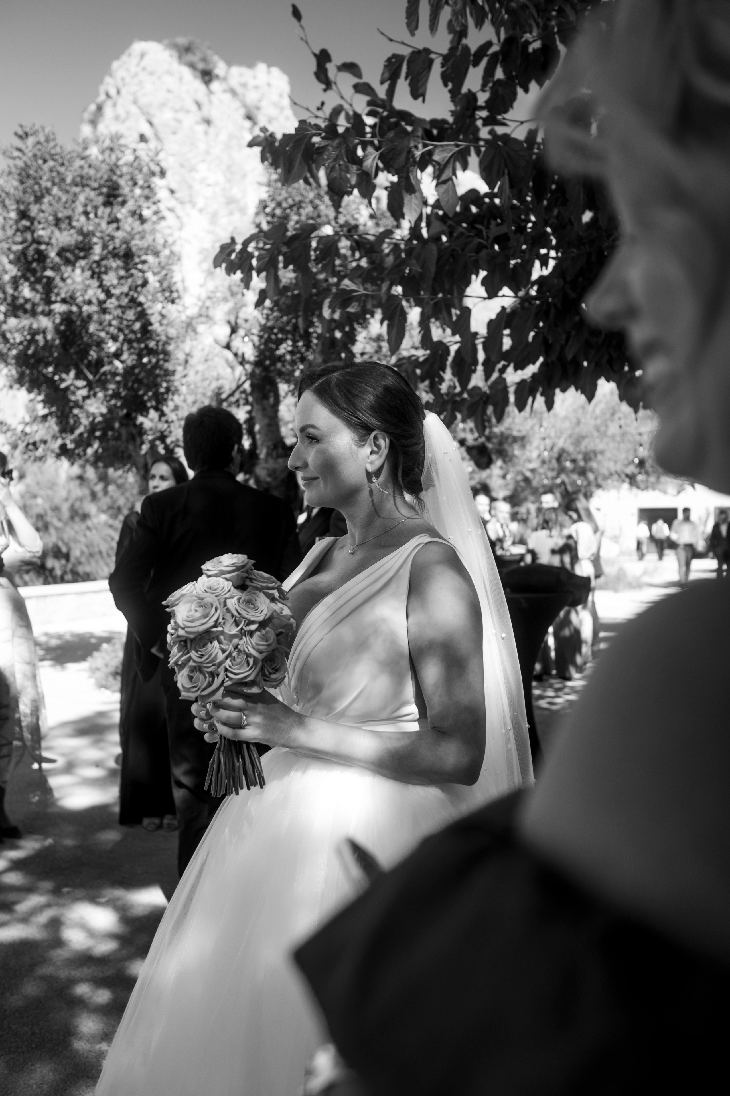 Dasha & Ister. Vivood Landscape. Paola fotógrafo / videografo de bodas en Barcelona