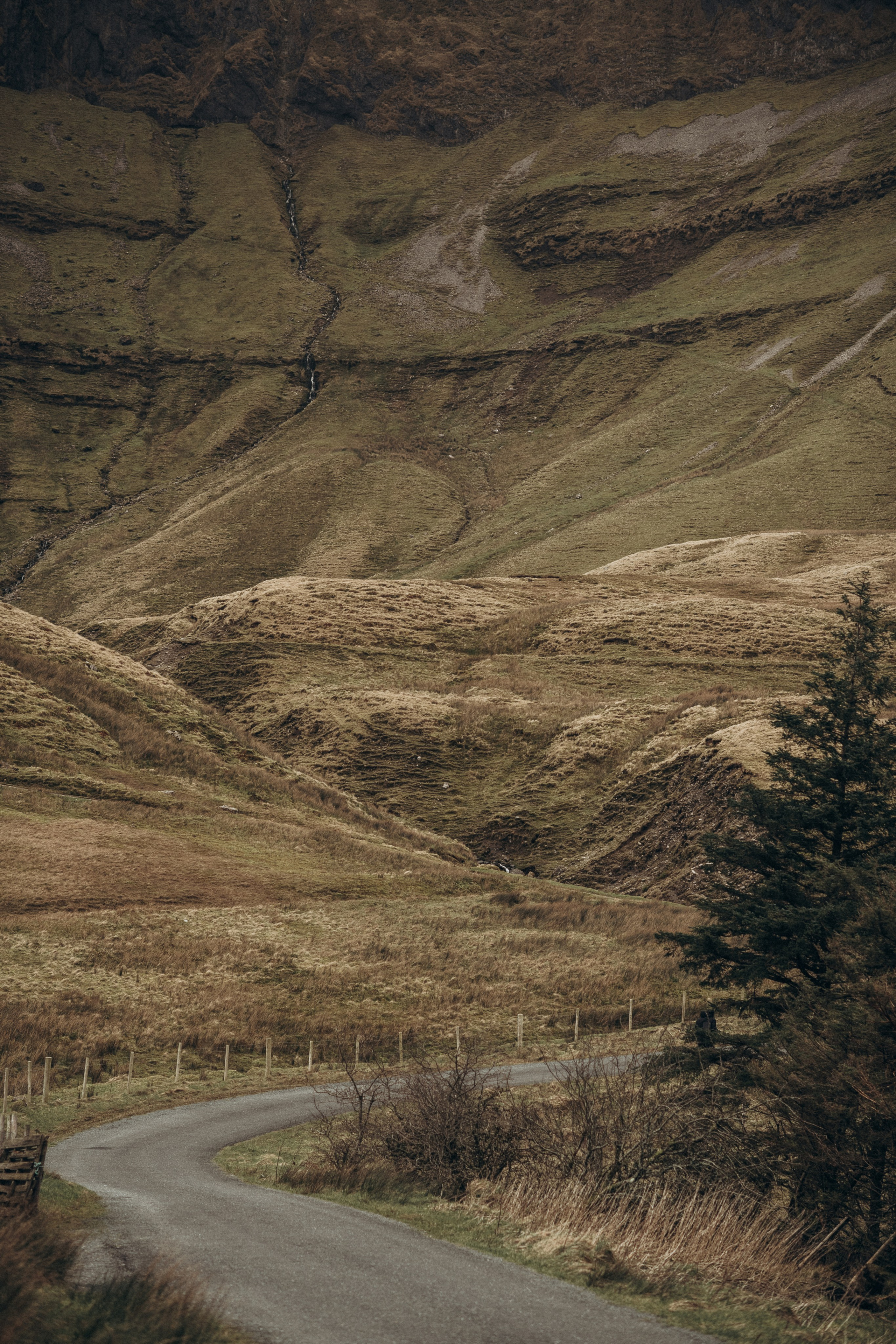 Family photography. Wedding & Family photographer in County Donegal and Dublin, Ireland