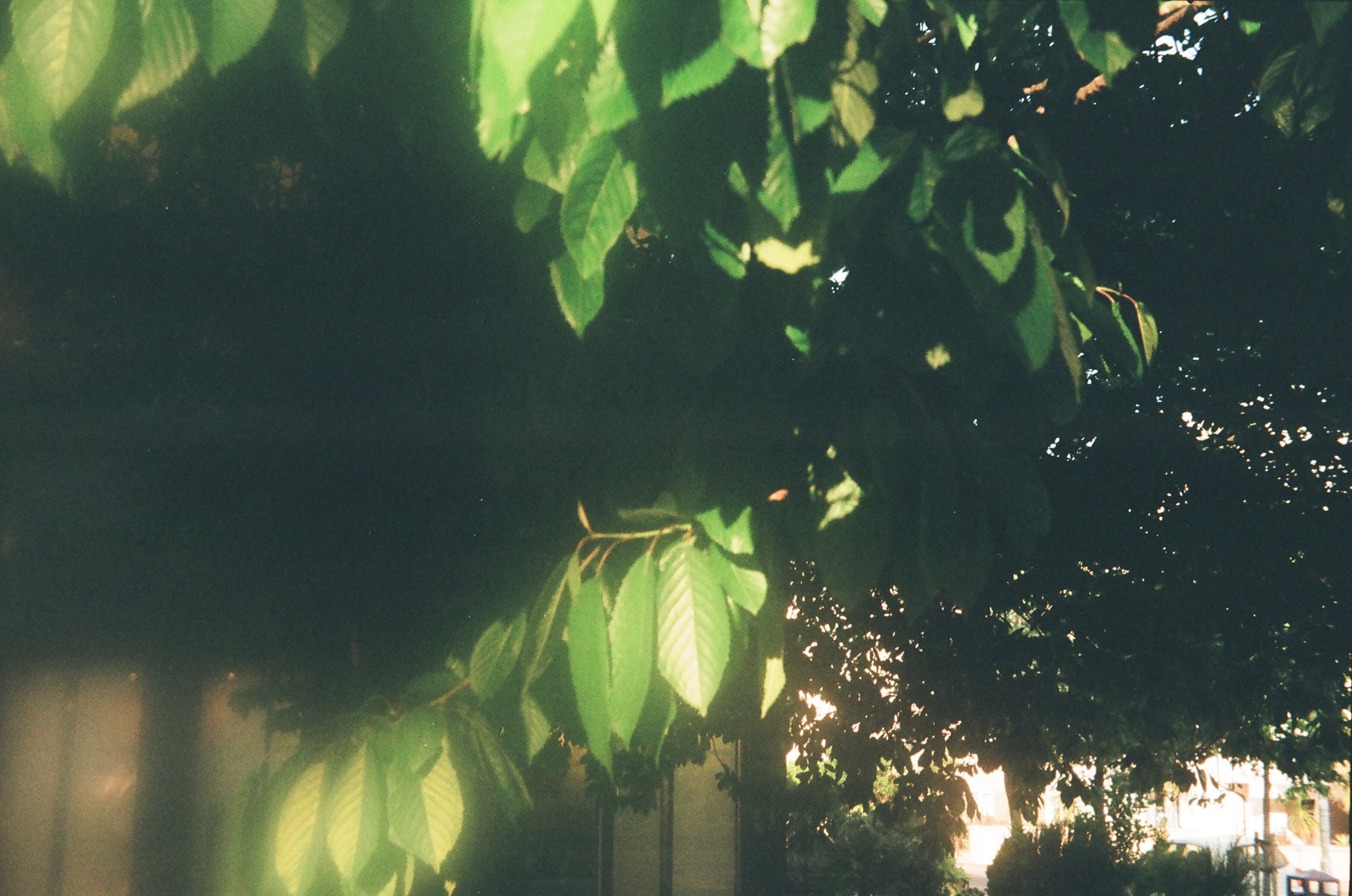 Folkestone (England, UK) 2025. Elena Zykova film photographer in London