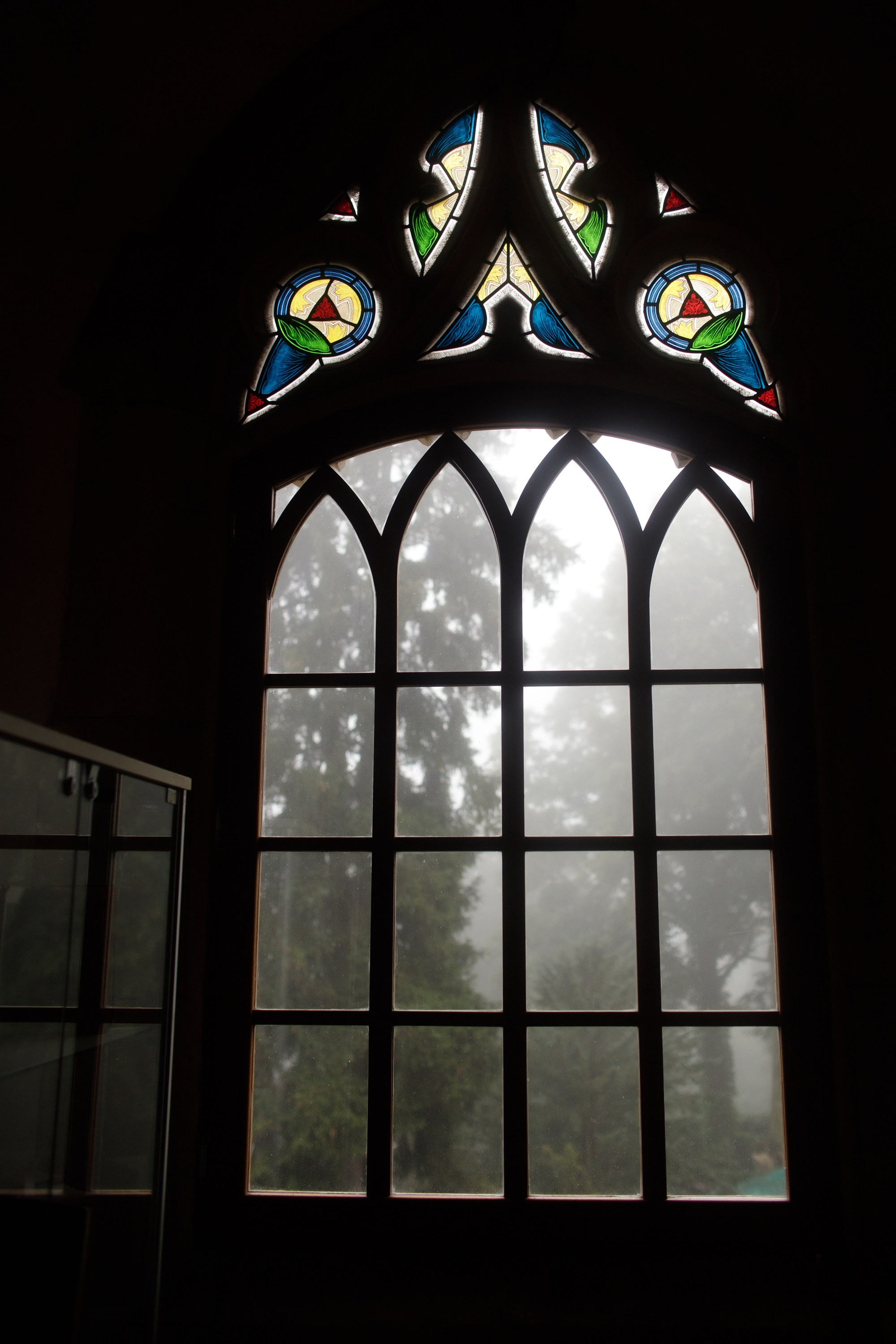 Zamek Grodziec. Kaja | fotograf psów we Wrocławiu