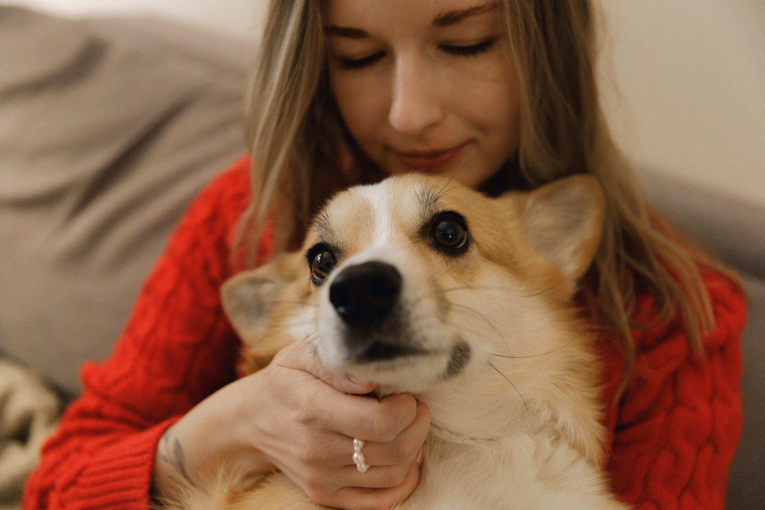 Dasha & Daisy. Kaja | fotograf psów we Wrocławiu