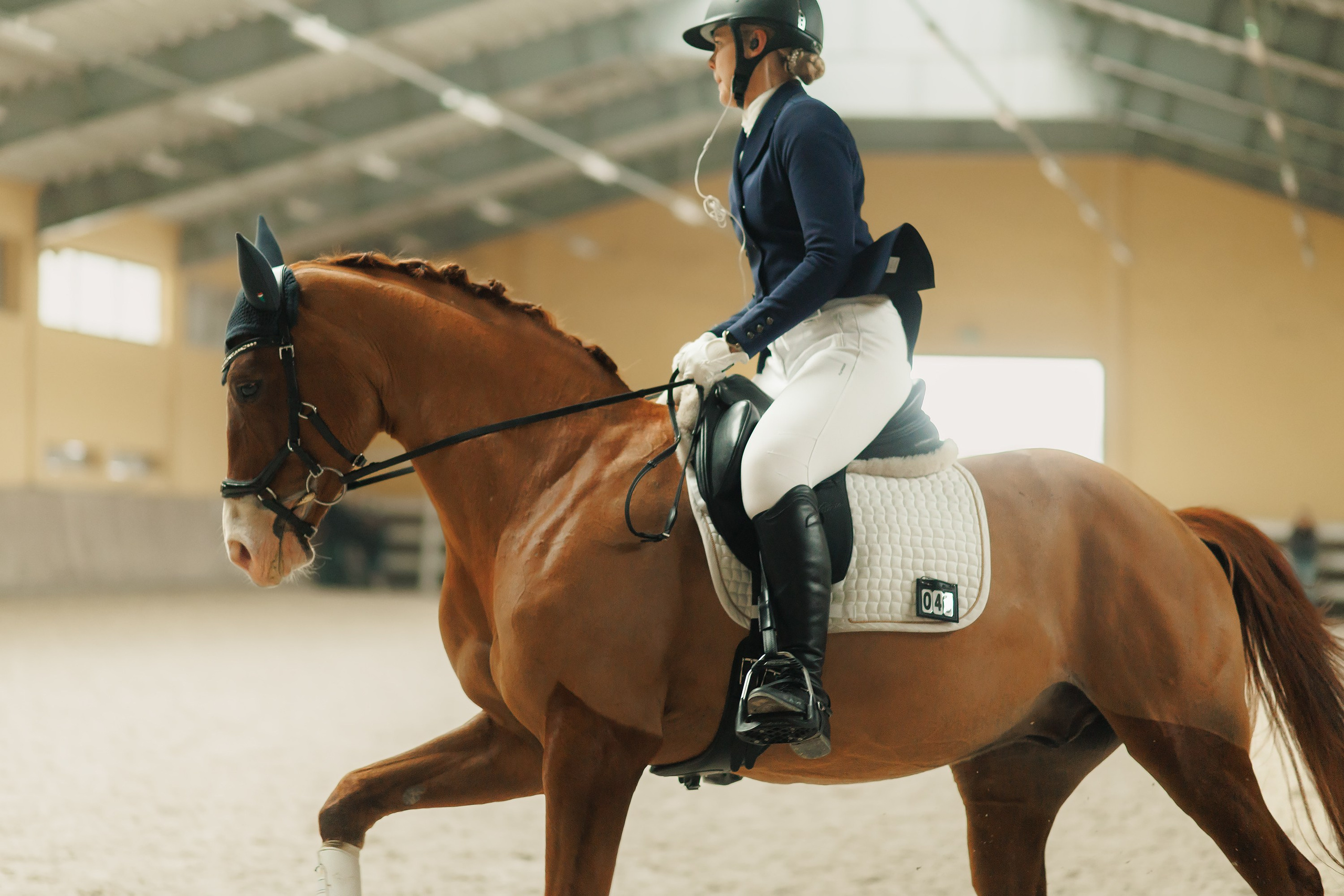 Partynice dressage \ feb'25. Kaja | fotograf we Wrocławiu | ludzie i psy