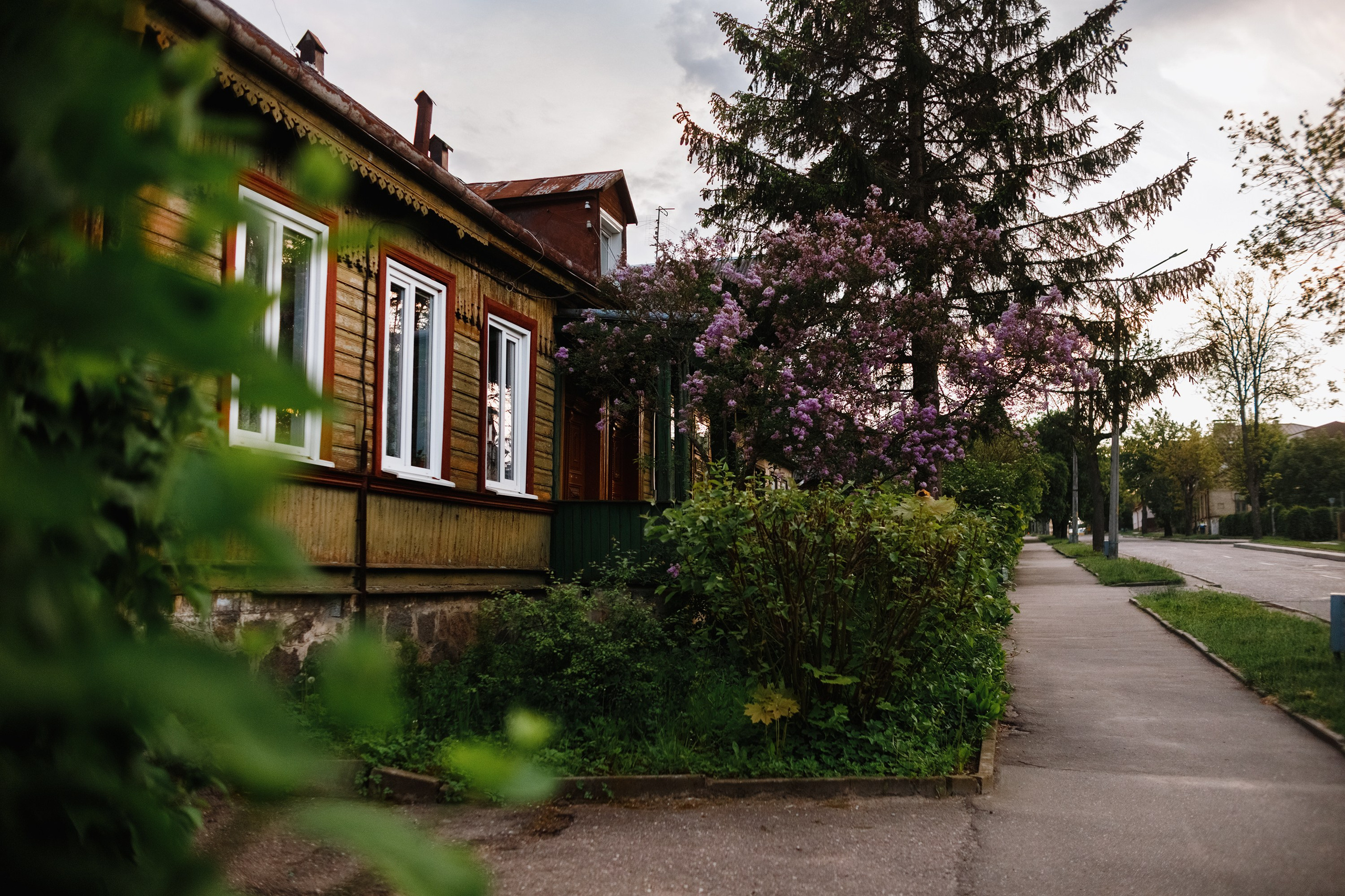 Grodno. Kaja | fotograf we Wrocławiu | ludzie i psy