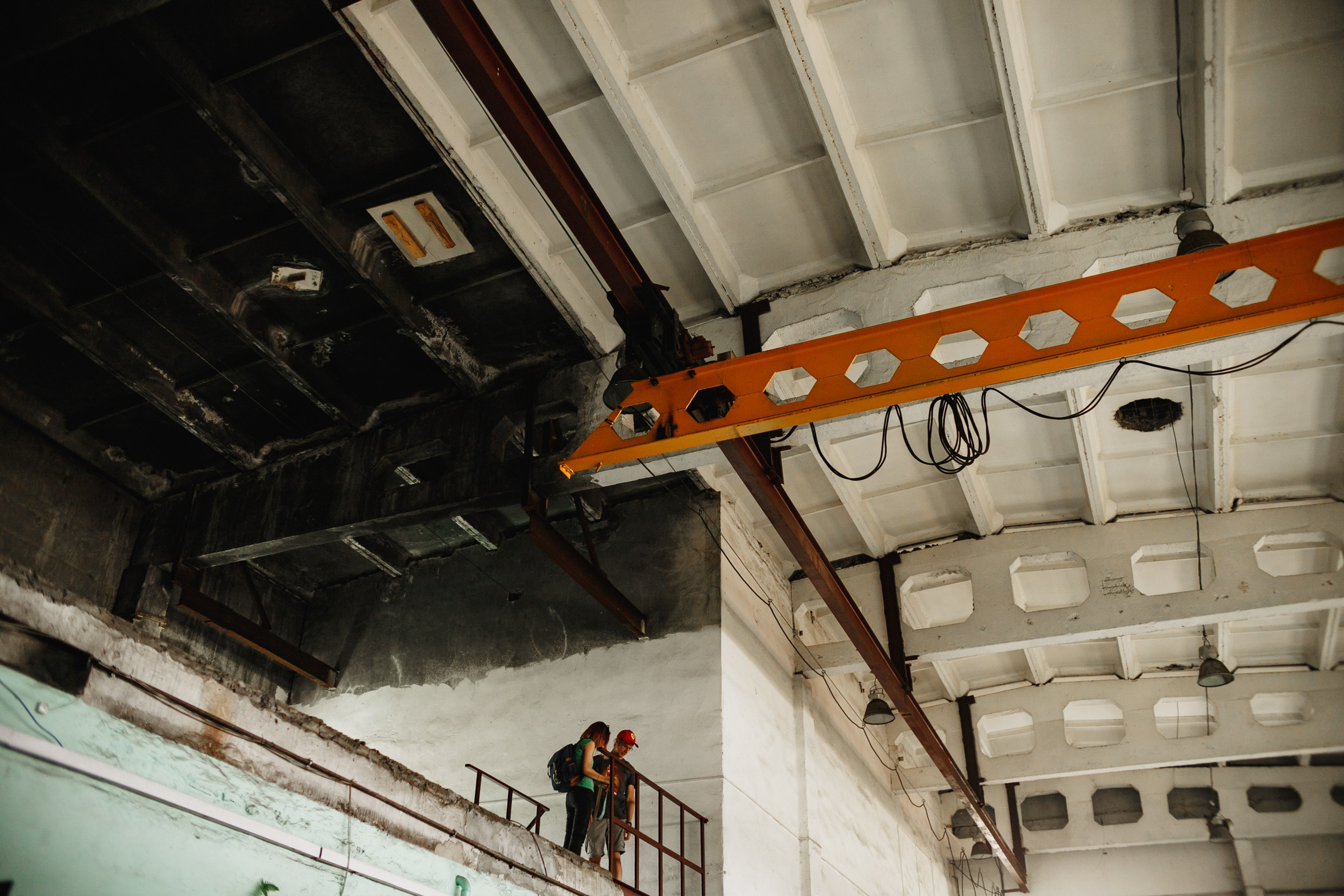 Narrow-gauge railway trip. Kaja | fotograf psów we Wrocławiu
