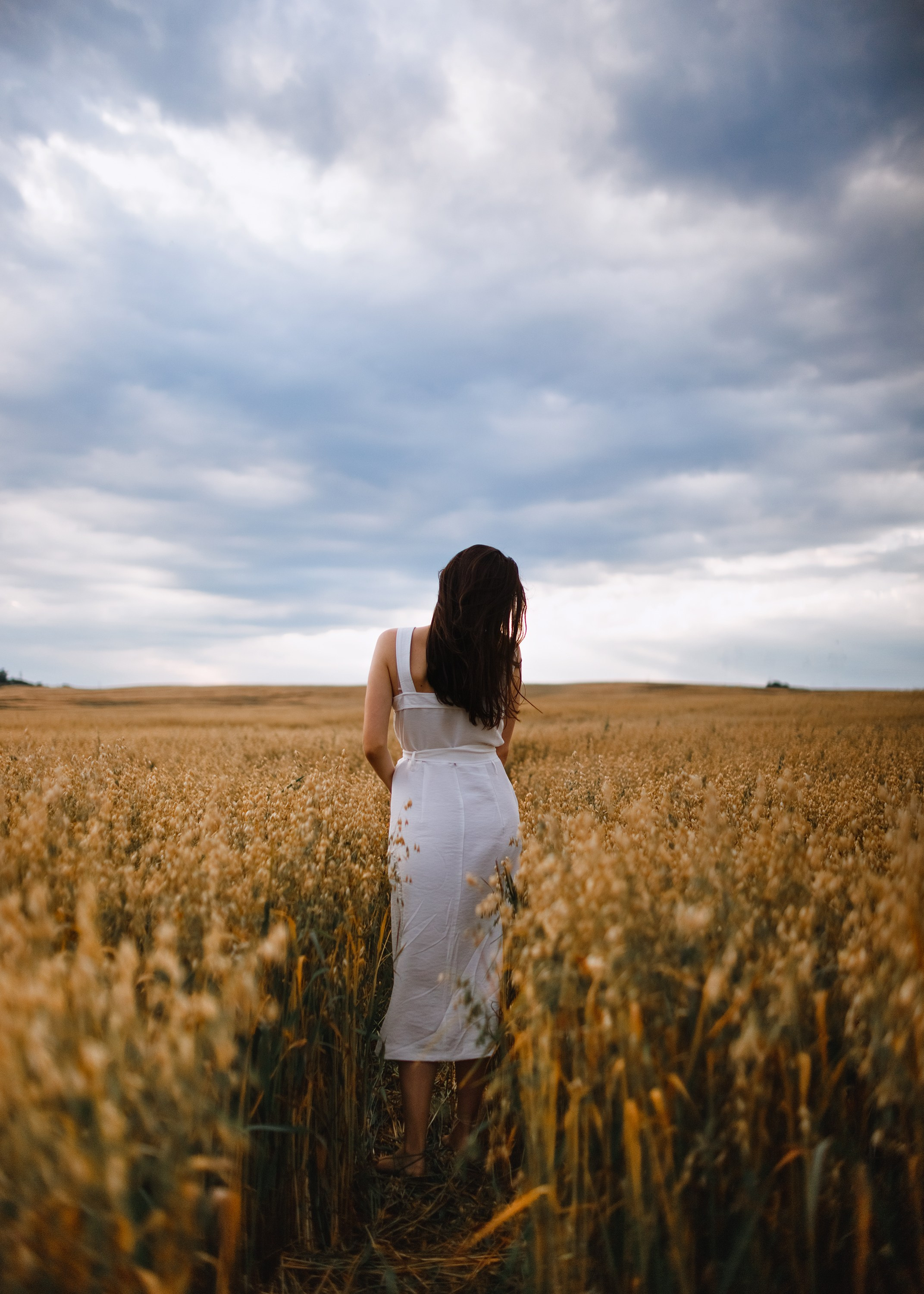 Katya | tenderness in the field. Kaja | fotograf psów we Wrocławiu