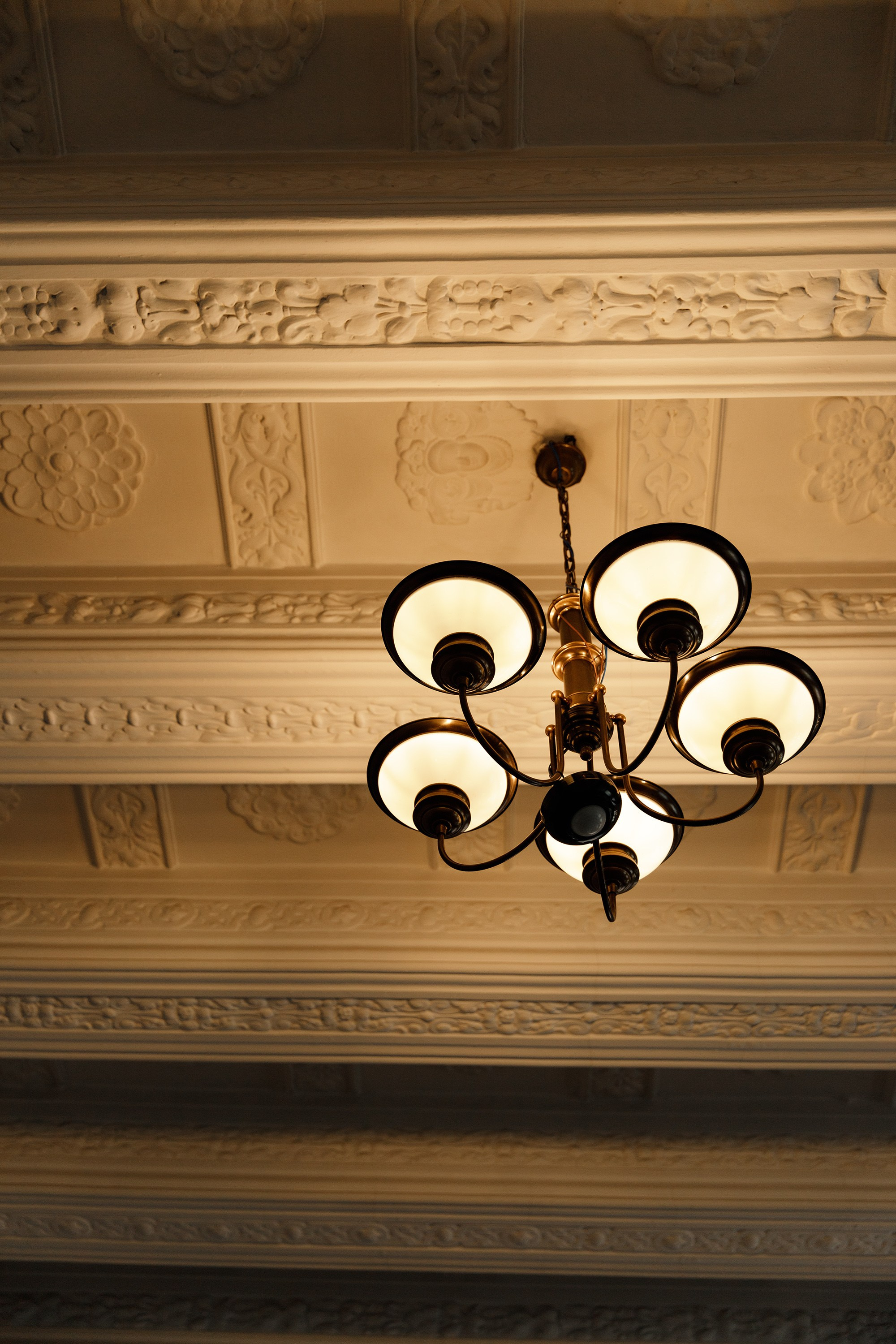 Oleśnica castle. Kaja | fotograf psów we Wrocławiu