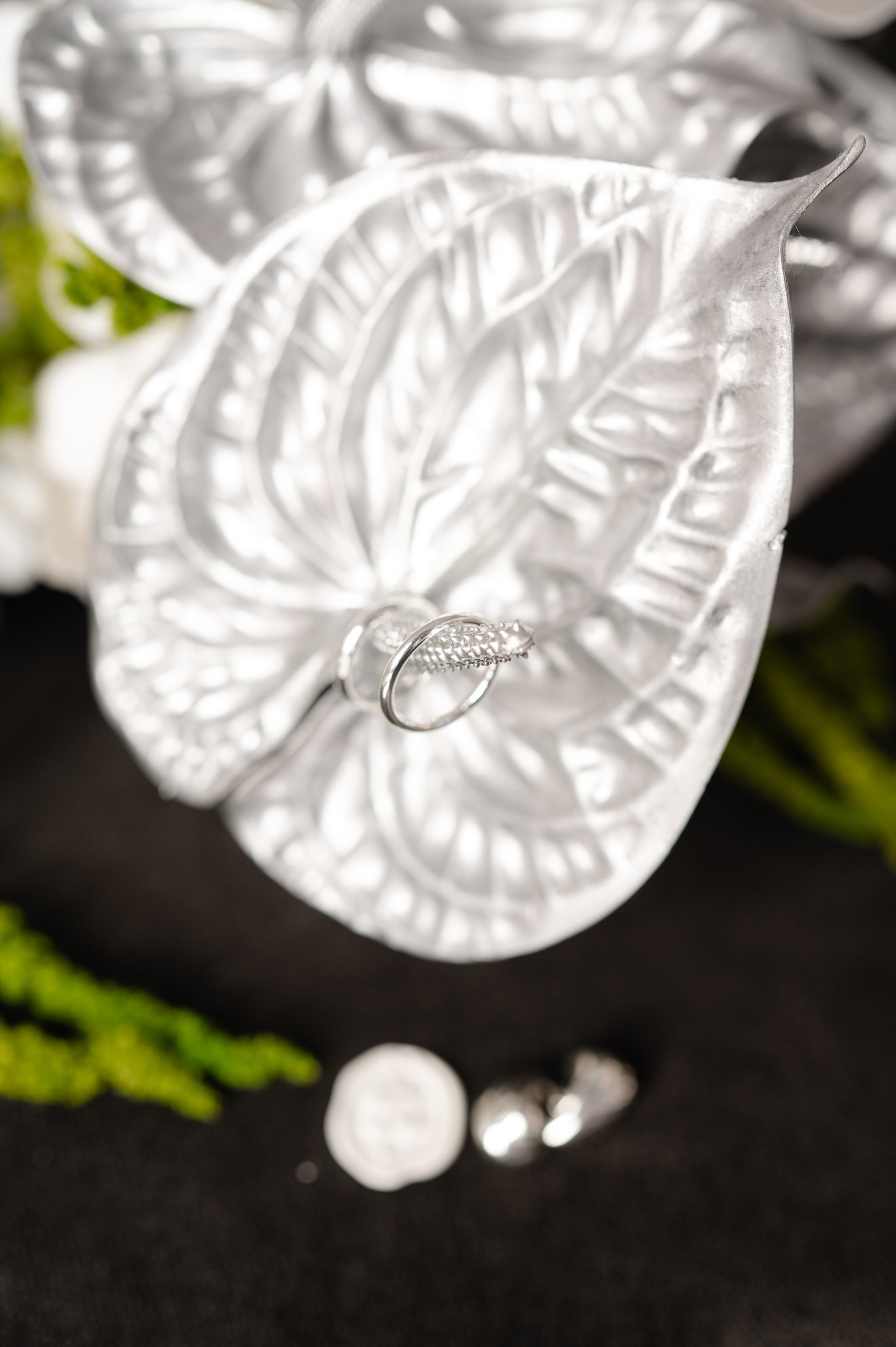 About me. Alexandra Hanu Photographer