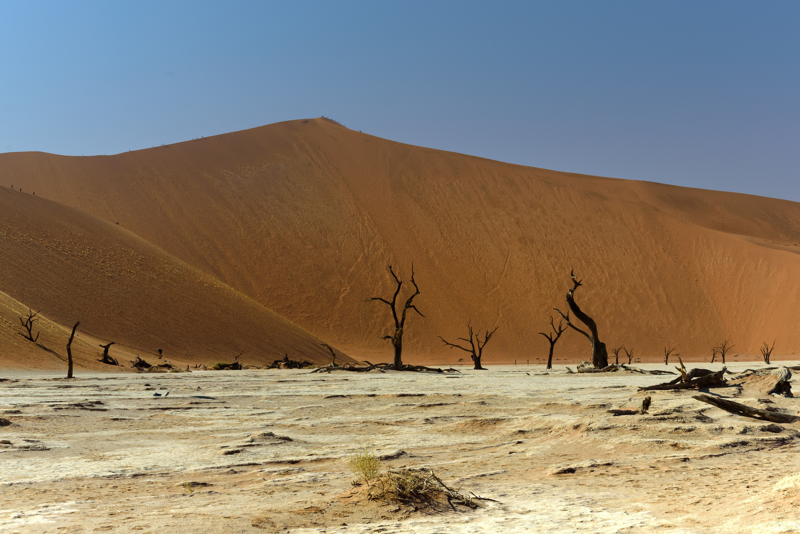 Travel. Klausenburg Photography