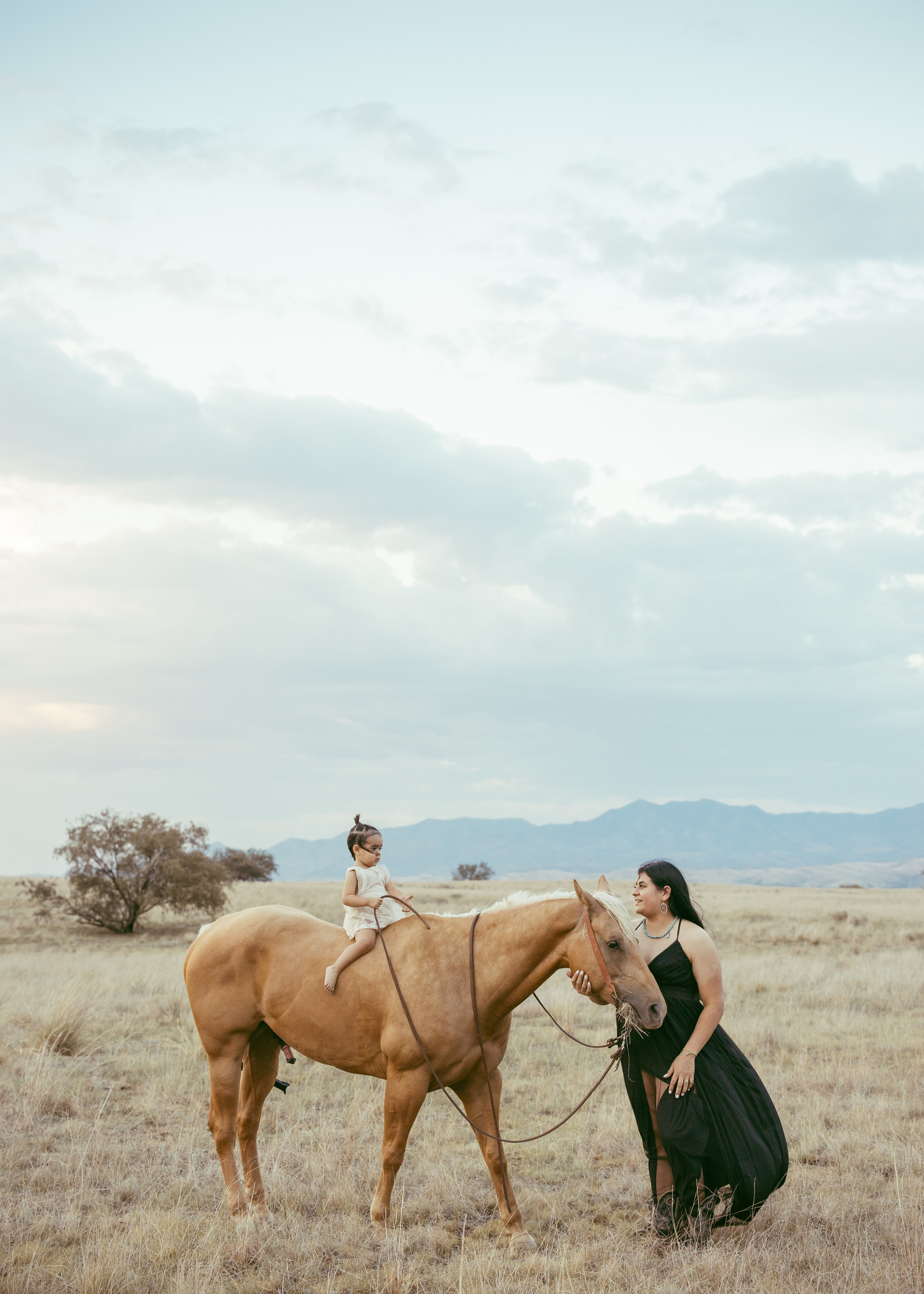 Family photographer Rochester Hills. Anastasia Post: Wedding and Editorial Photography