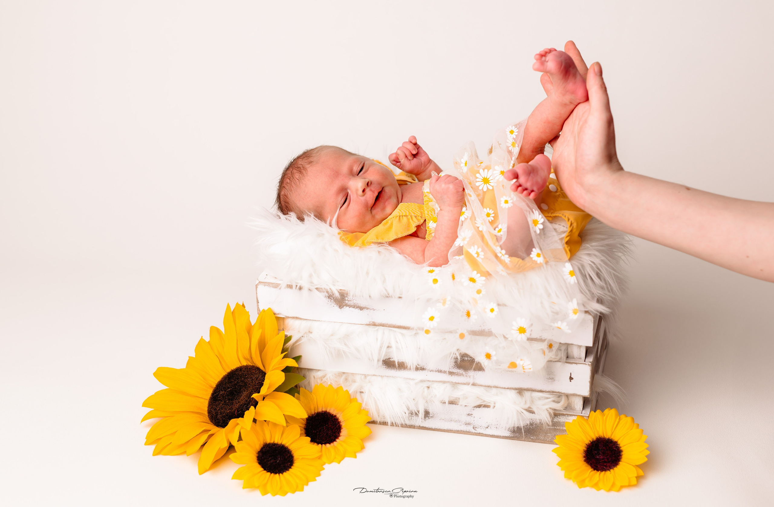 A sweet little angel. Dumitrasca Ciprian Photography