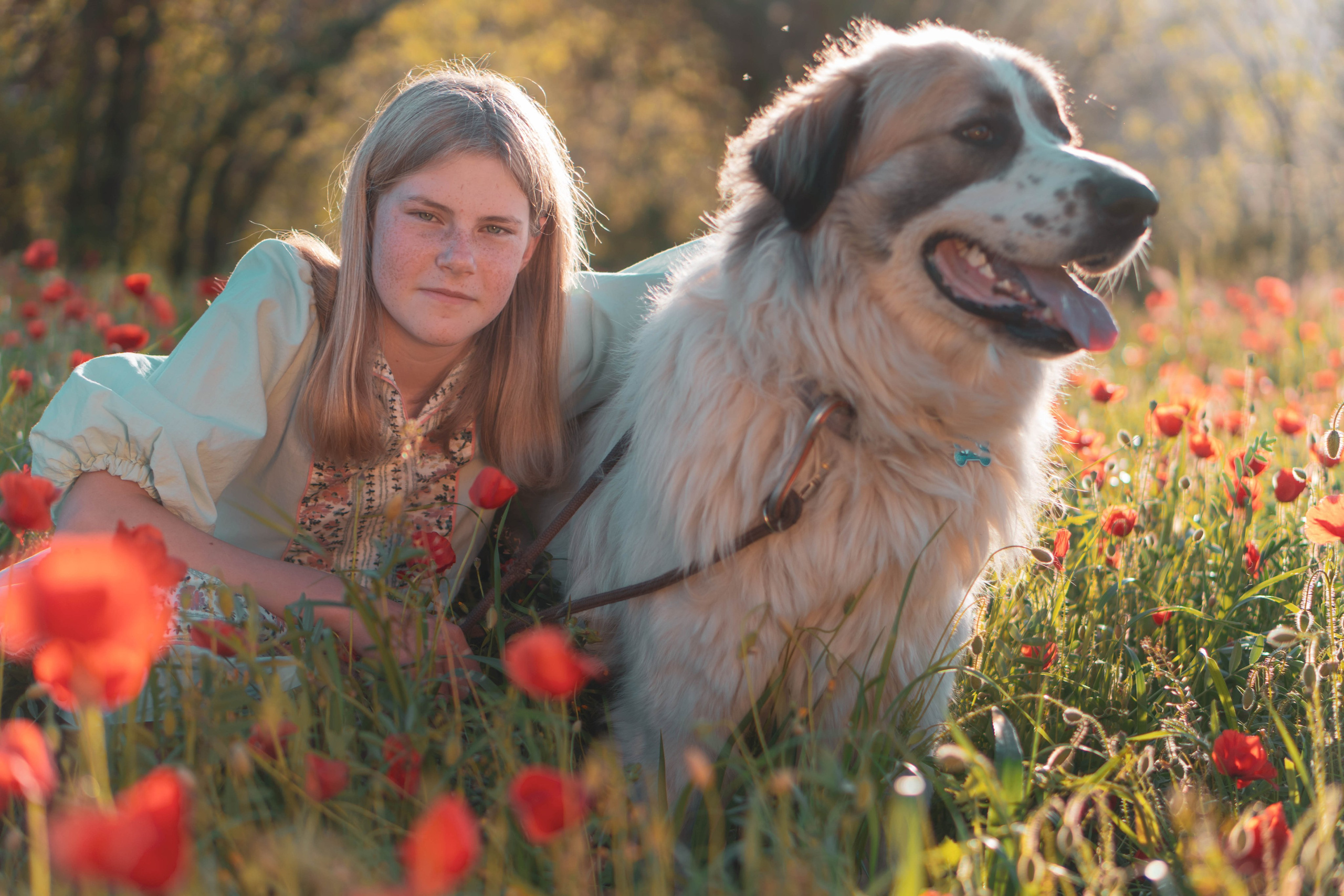 Agnia & Amapolas. Alba del Norte Studio