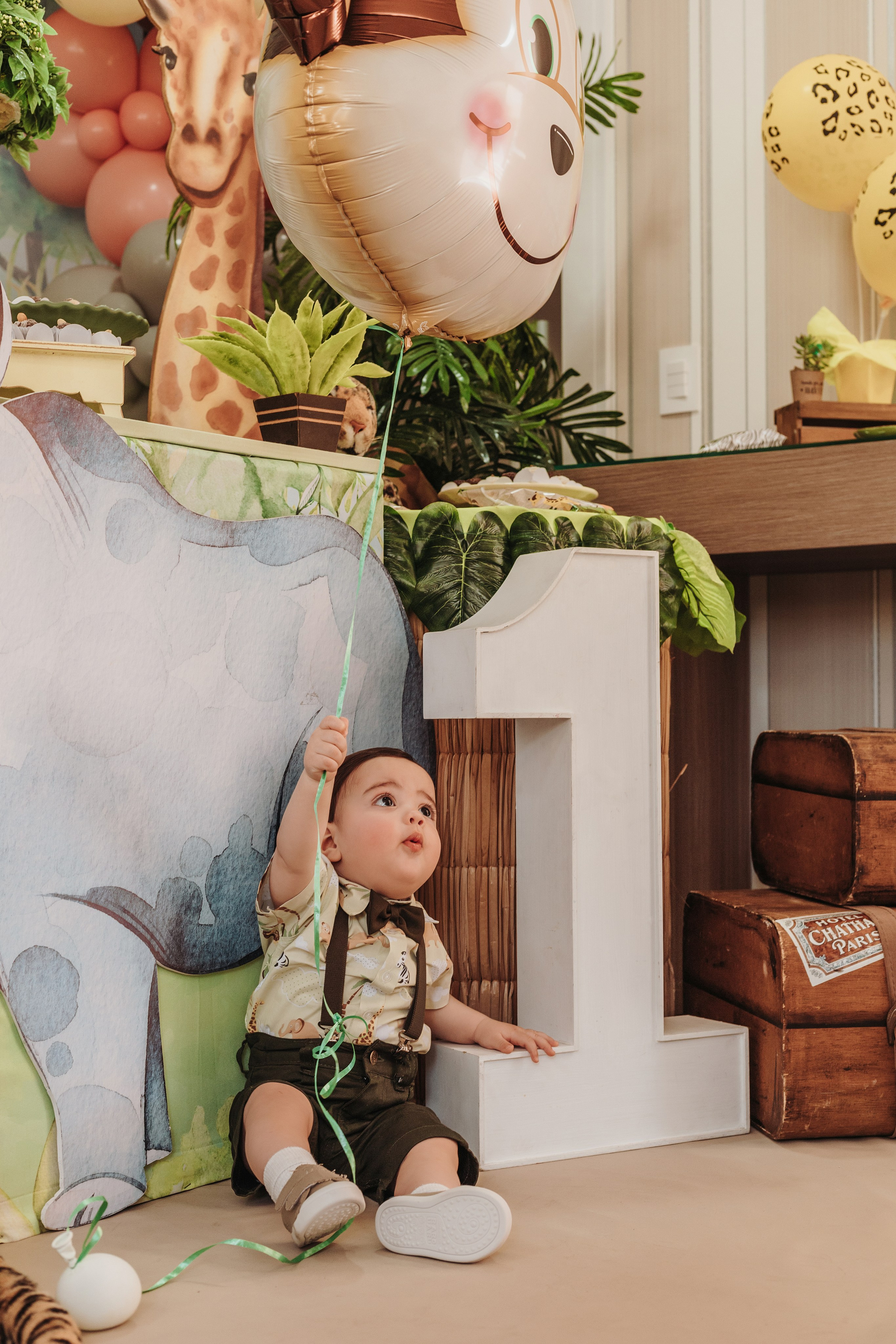 Aniversário infantil safari, em São José, Santa Catarina.