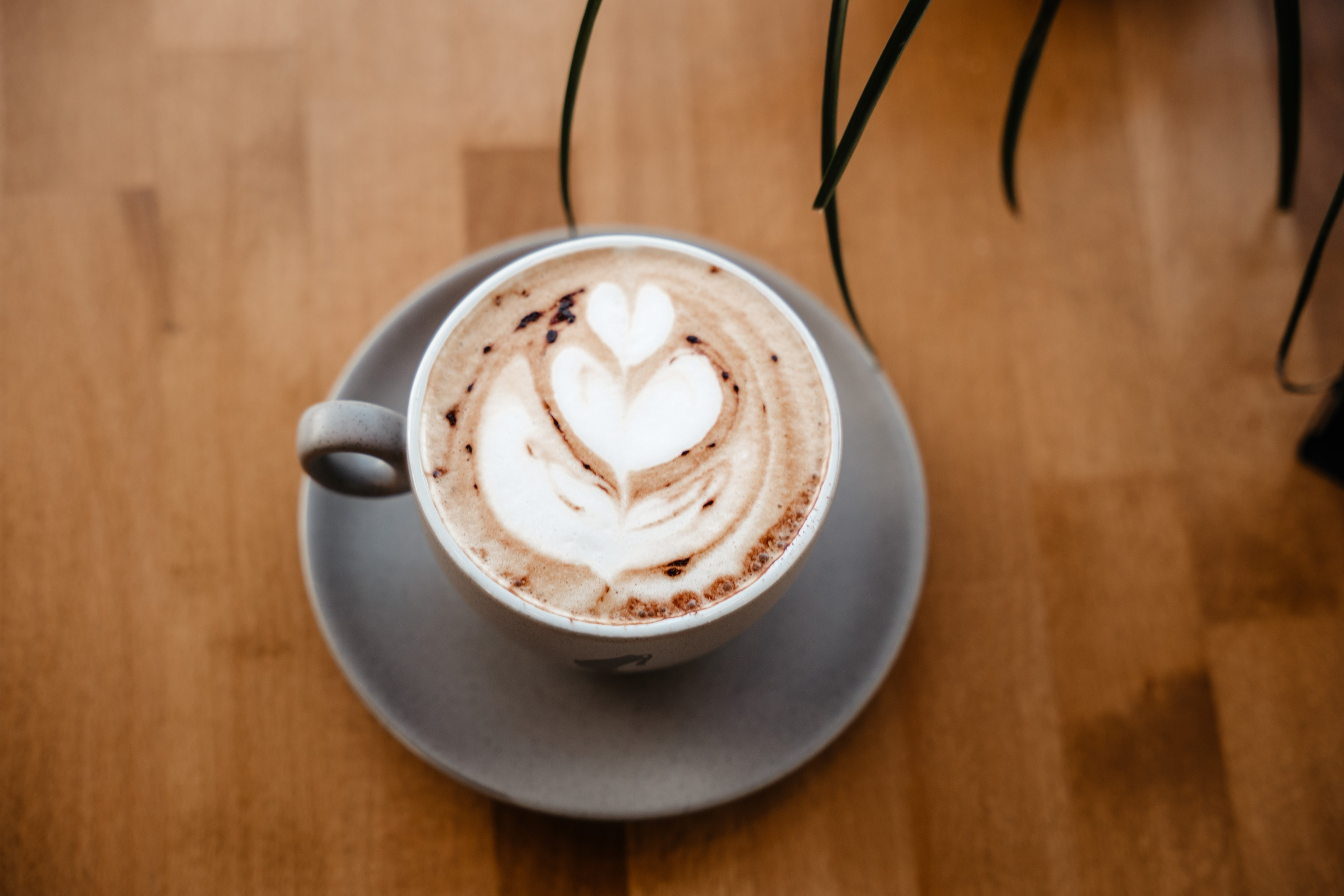 LEcrivain. Dragosbaciuartphotographer