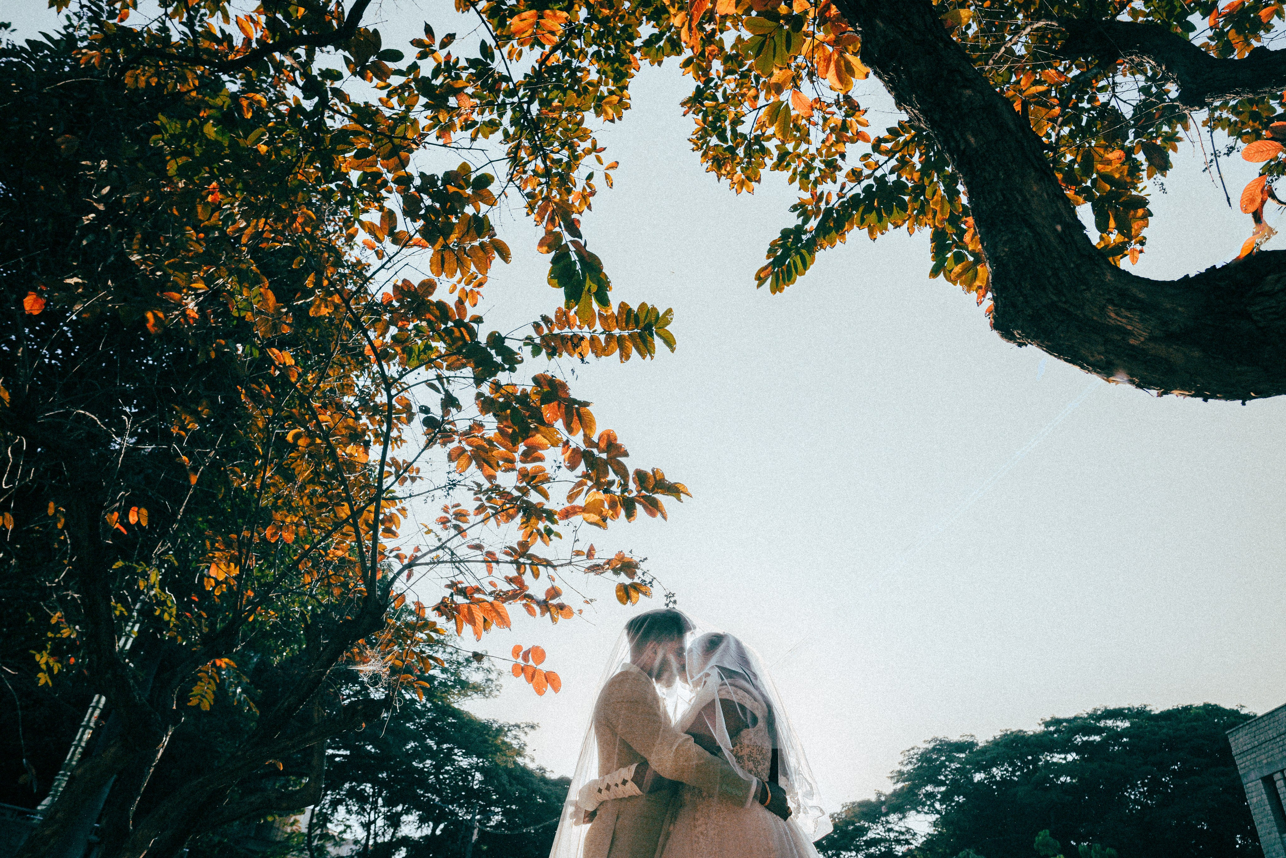 WEDDINGS. Wedding photographer Stalen Robert