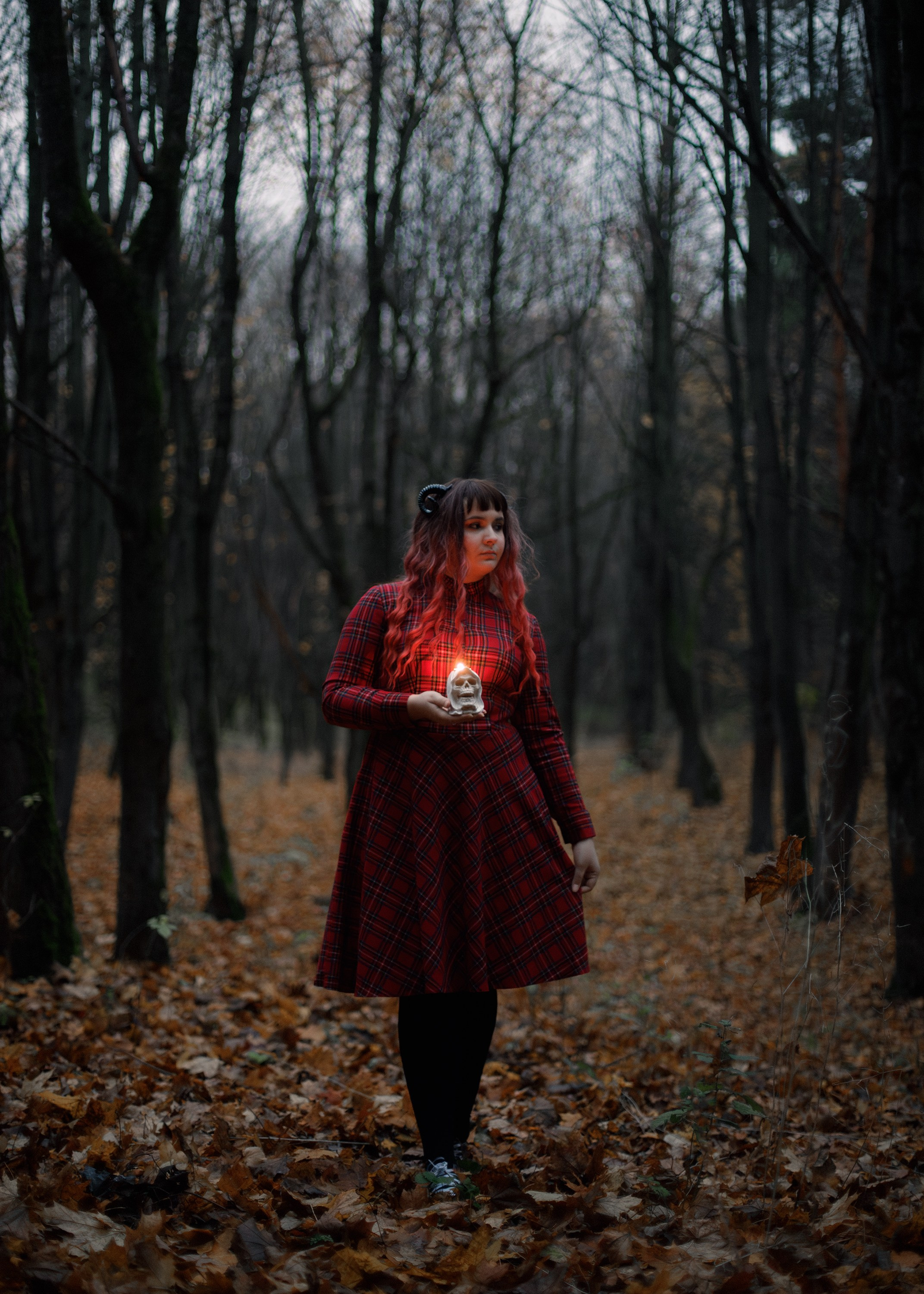 Katya. Kaja | fotograf psów we Wrocławiu