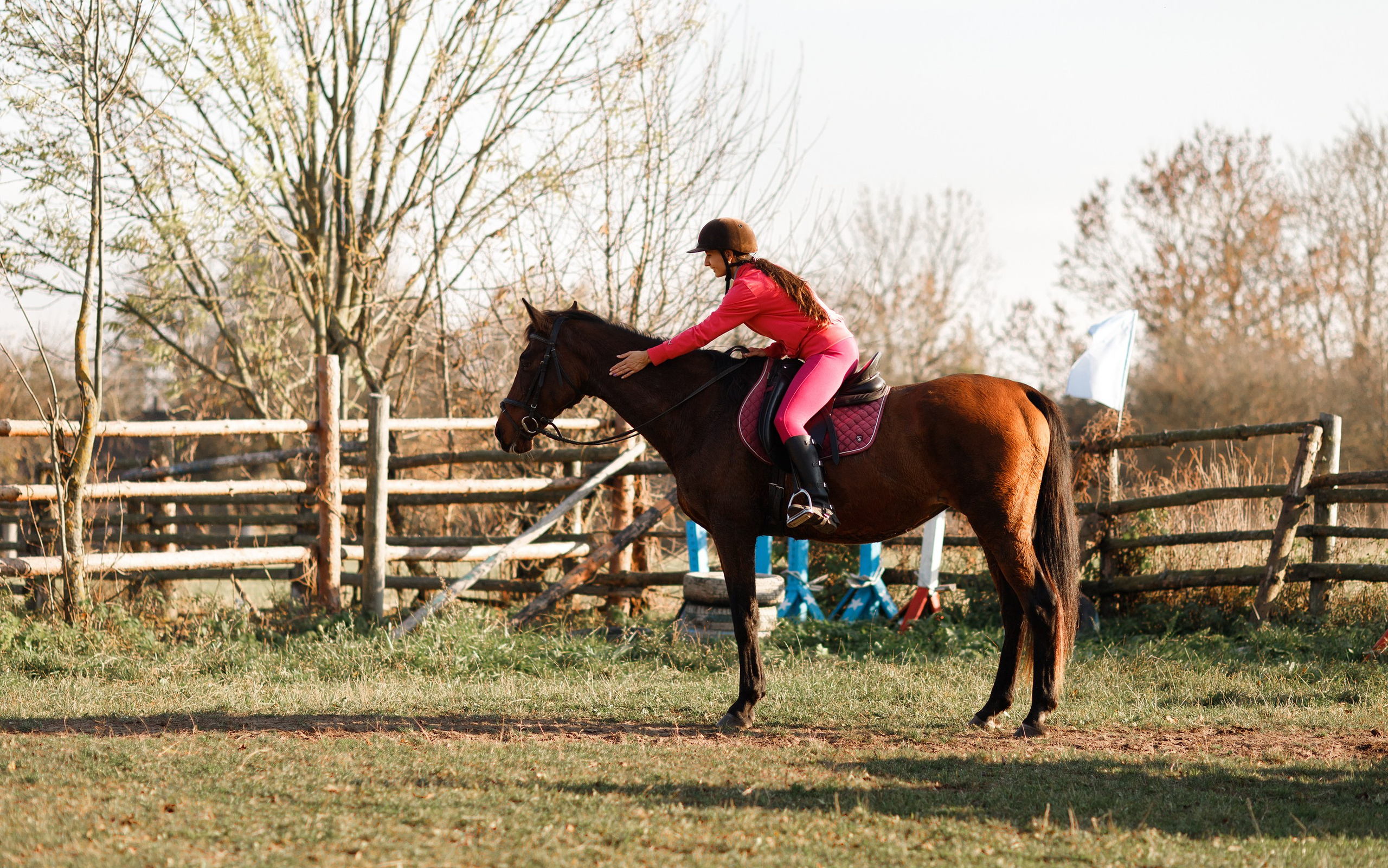 Autumn equestrian training. Kaja | fotograf psów we Wrocławiu