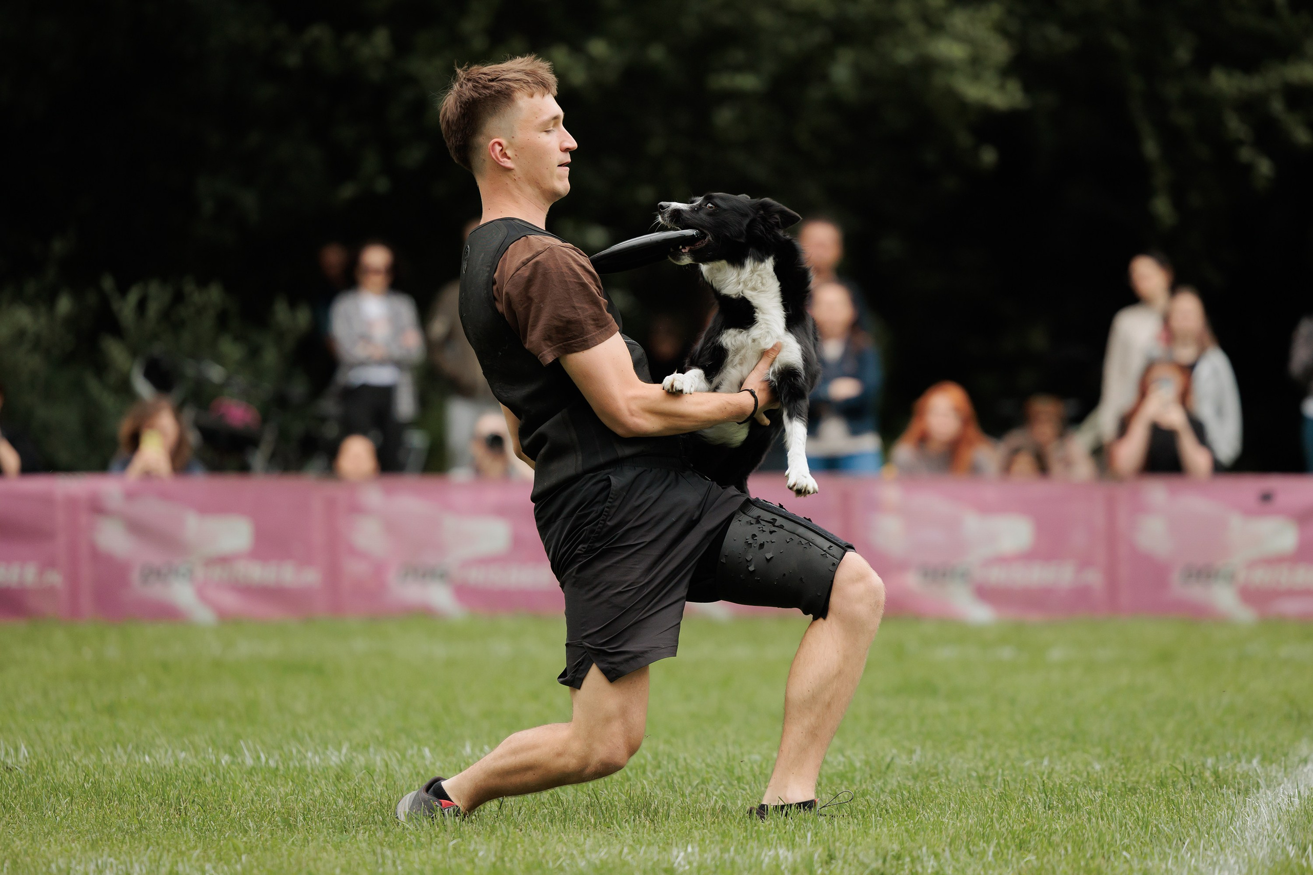 Latające psy, Wrocław'25. Kaja | fotograf psów we Wrocławiu