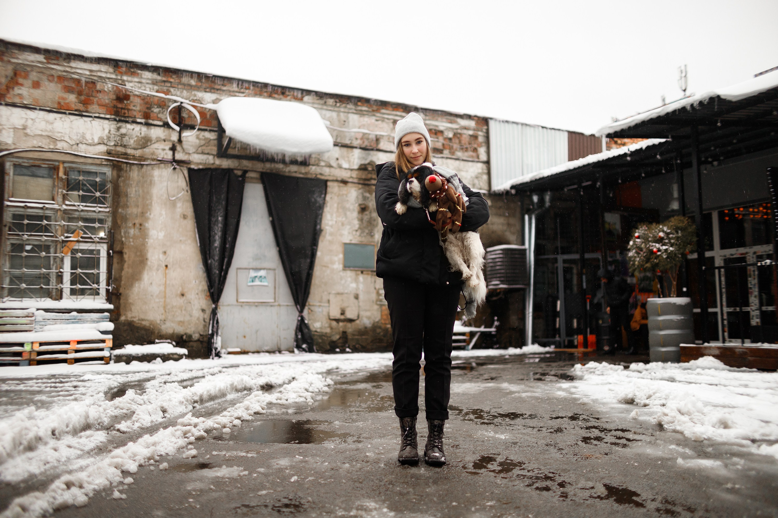 Uliana & winter spaniels. Kaja | fotograf psów we Wrocławiu