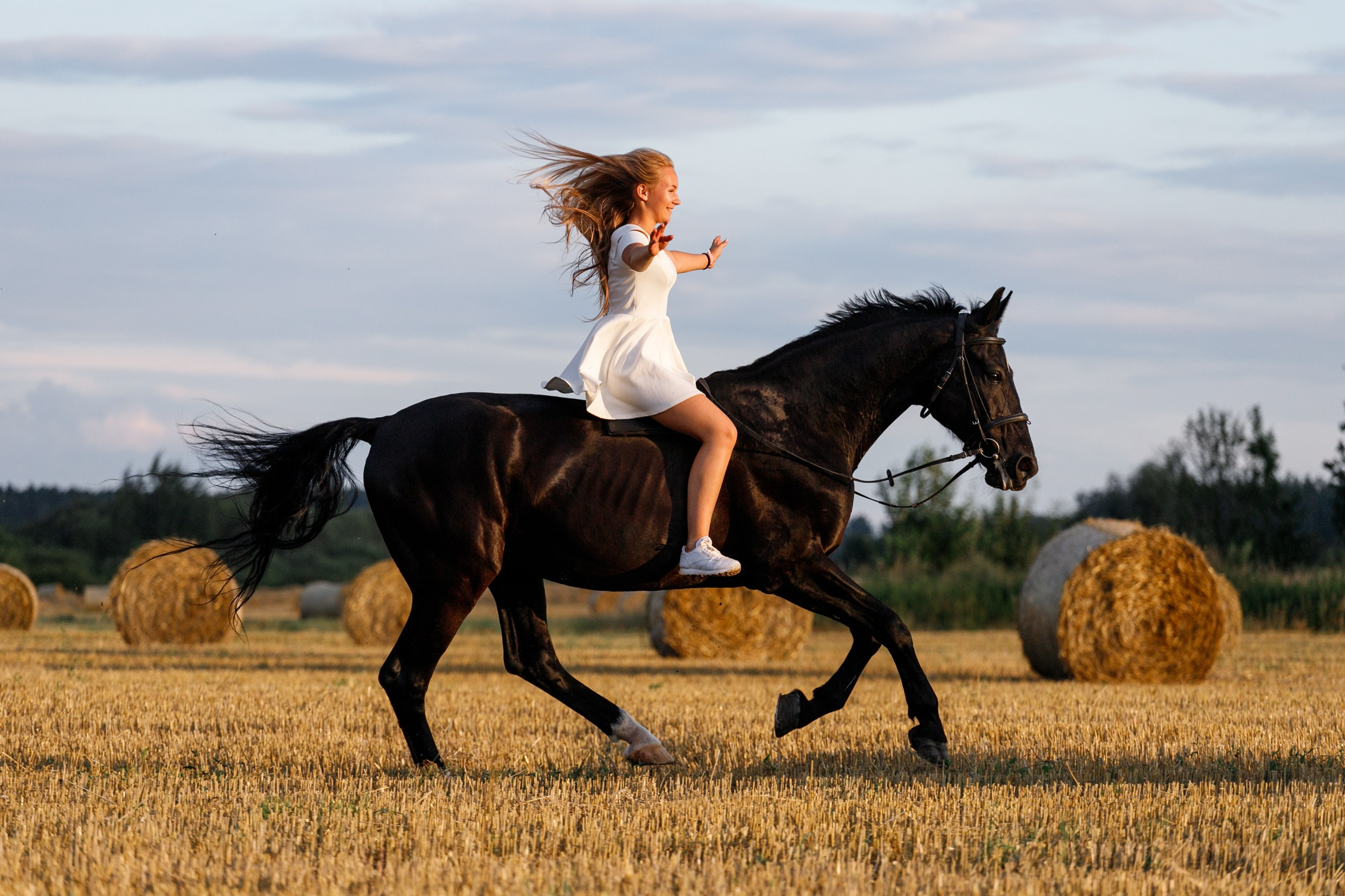 One sunset. Kaja | fotograf psów we Wrocławiu
