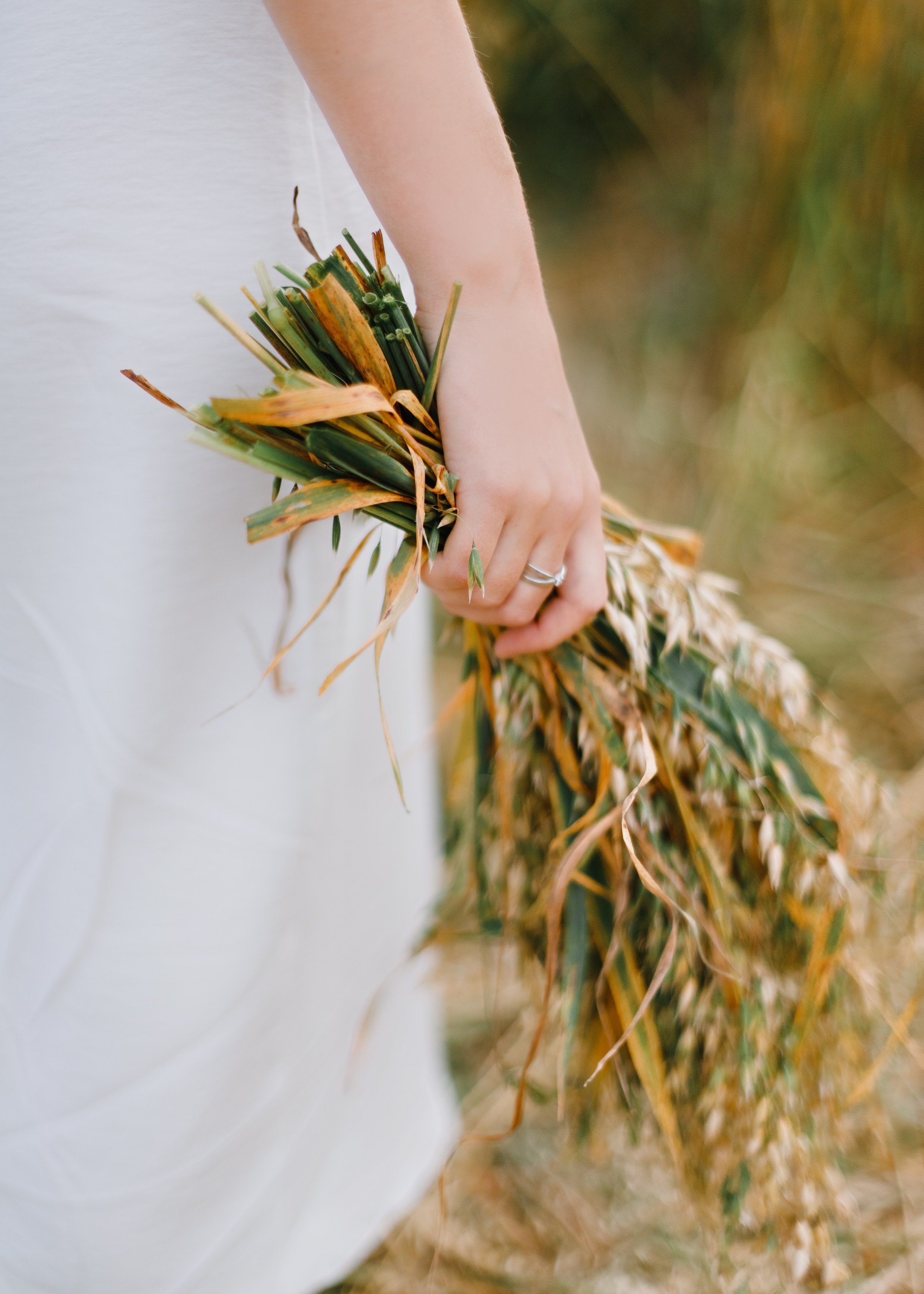 Katya | tenderness in the field. Kaja | fotograf psów we Wrocławiu