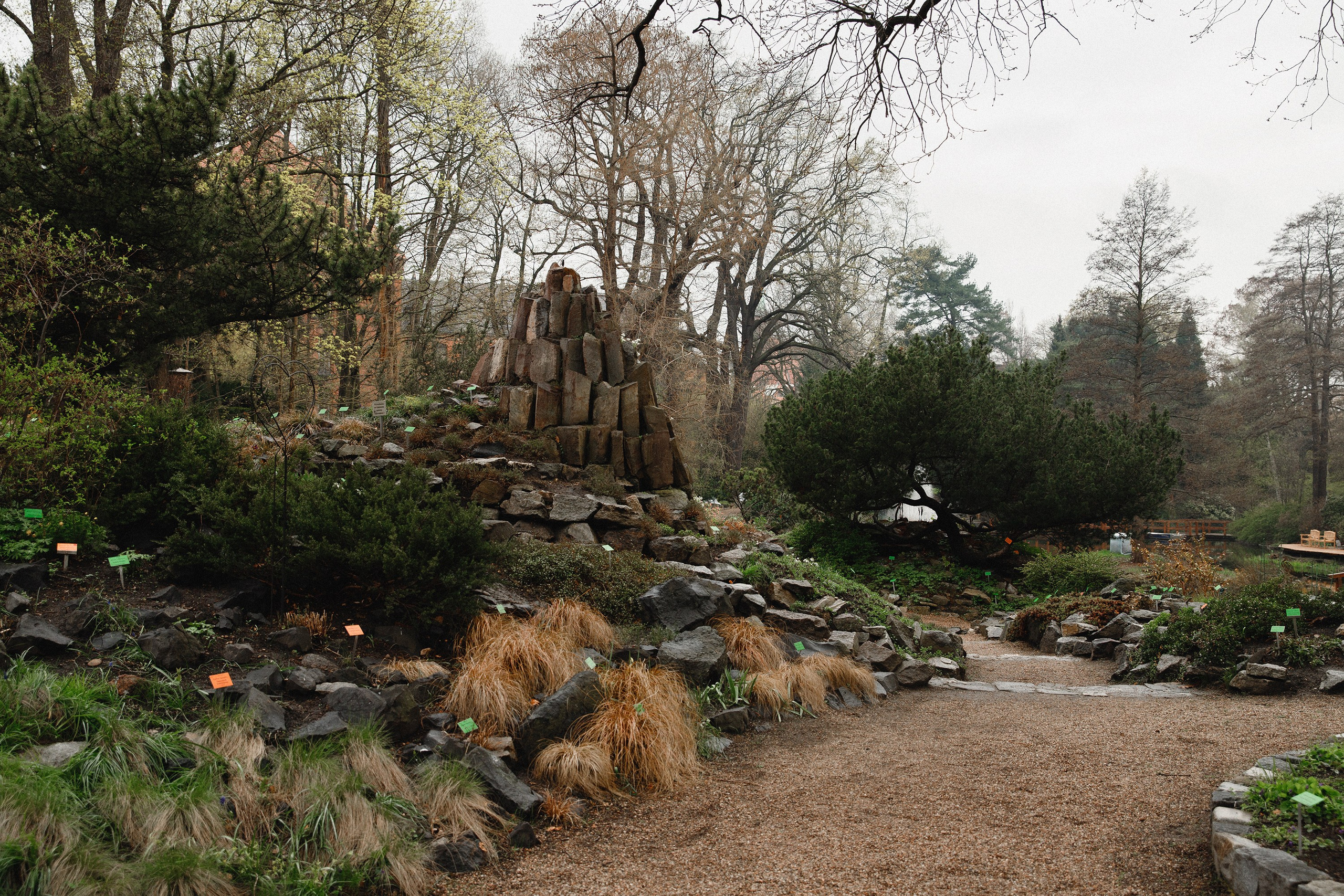 Botanical garden in Wroclaw. Kaja | fotograf we Wrocławiu | ludzie i psy