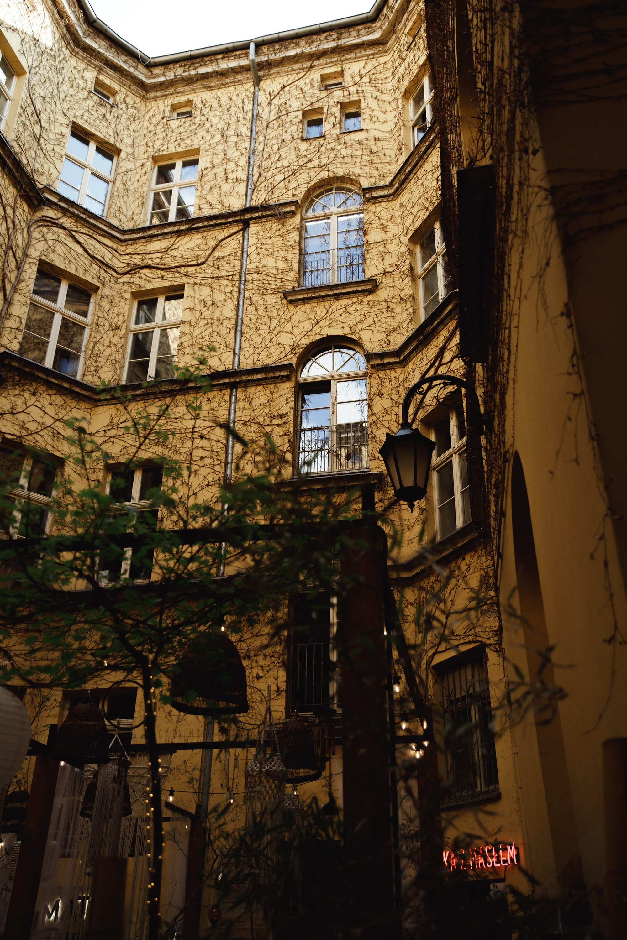 Wroclaw | the best ones. Kaja | fotograf psów we Wrocławiu