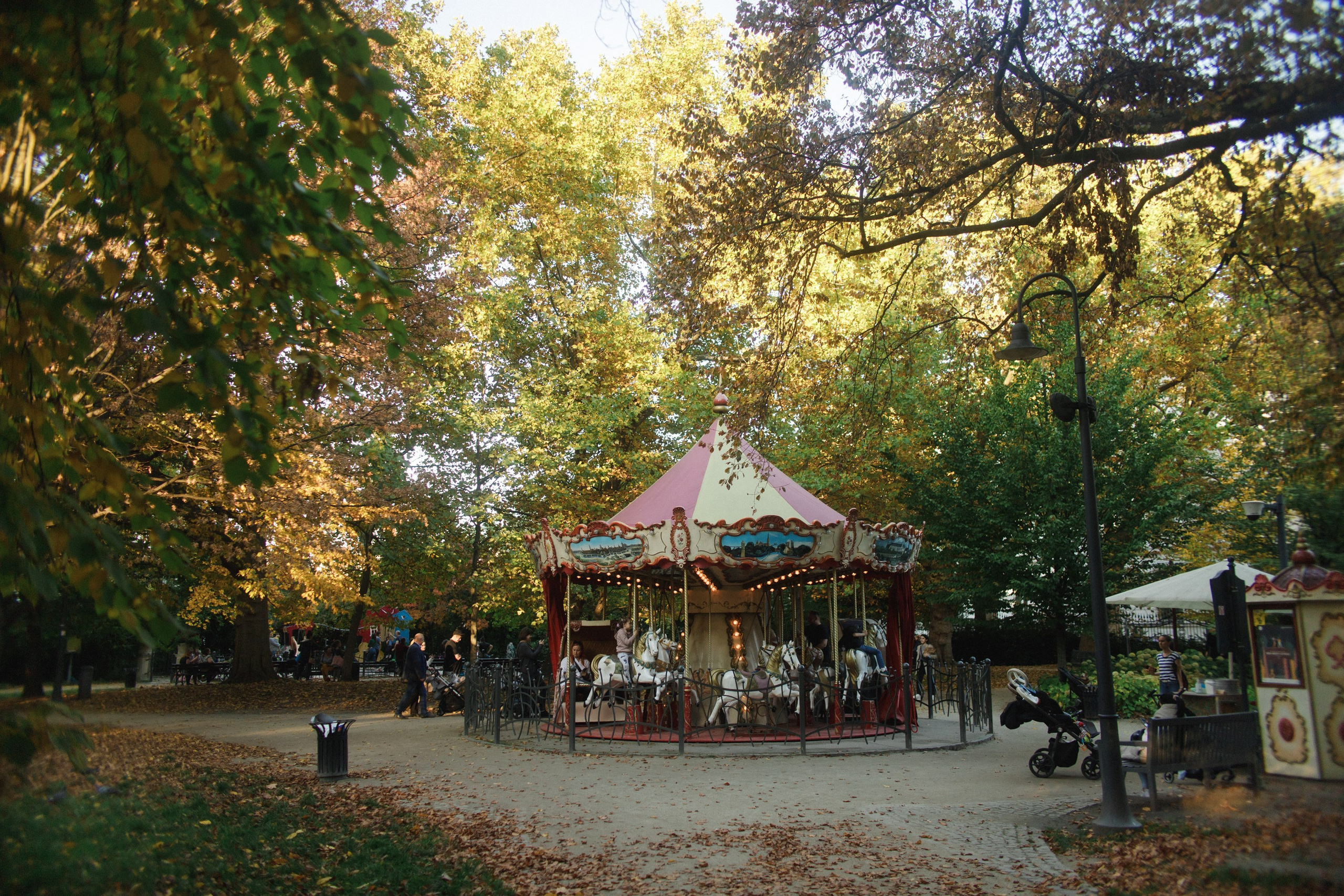 Nastya. Kaja | fotograf psów we Wrocławiu
