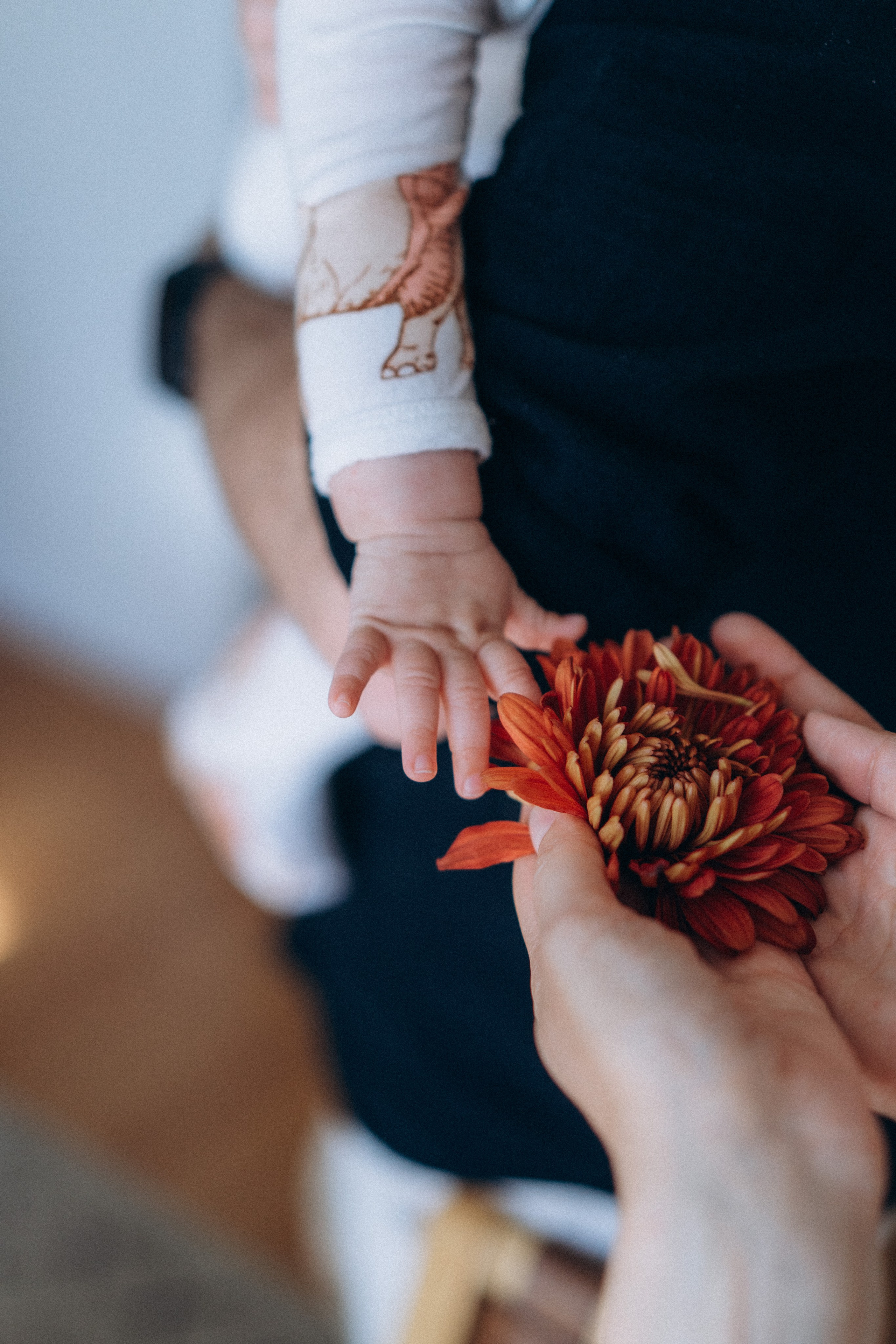 Maternity & Newborn. Barbarica. Photography