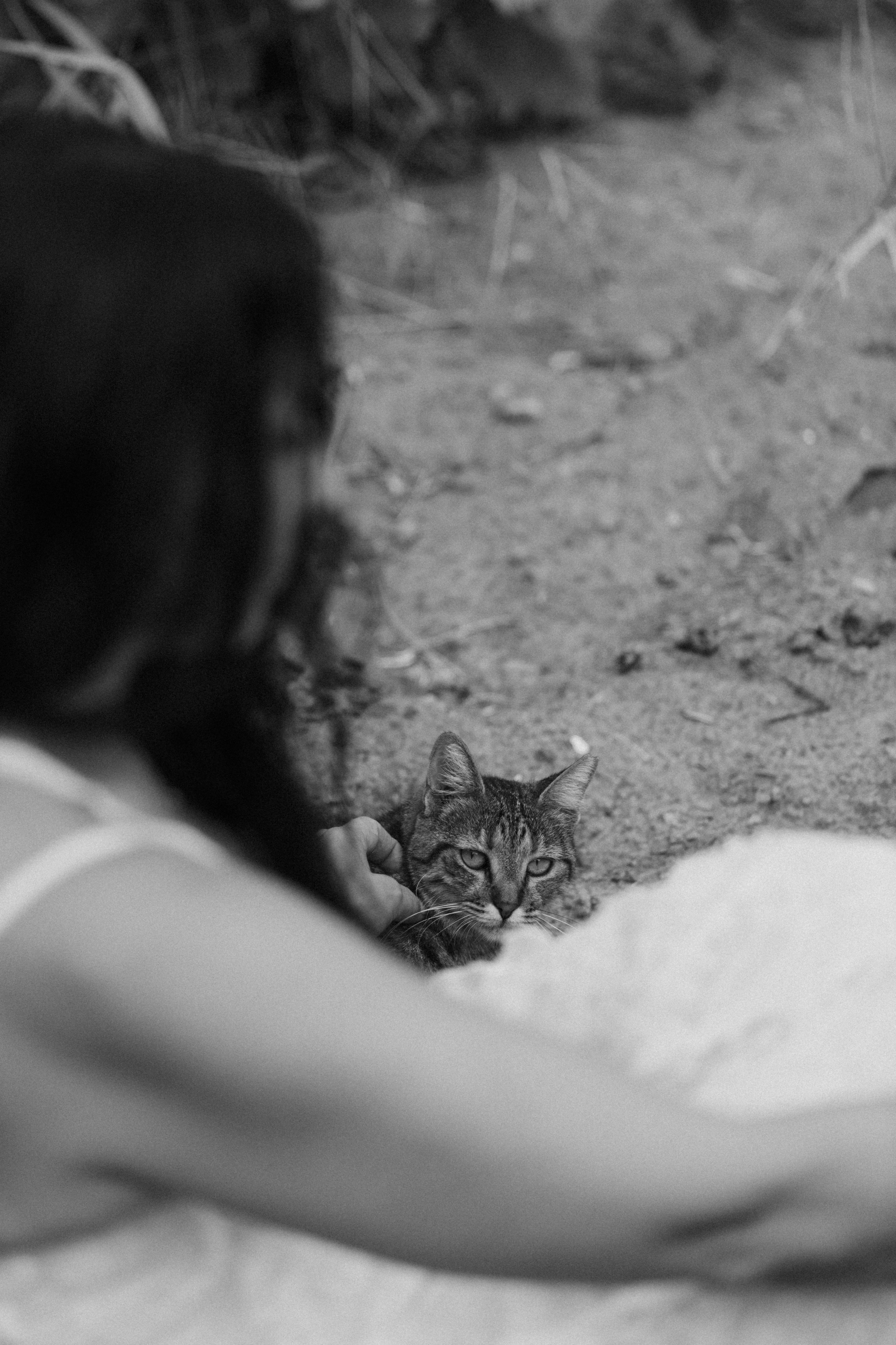 . Фотопрогулки в Стамбуле