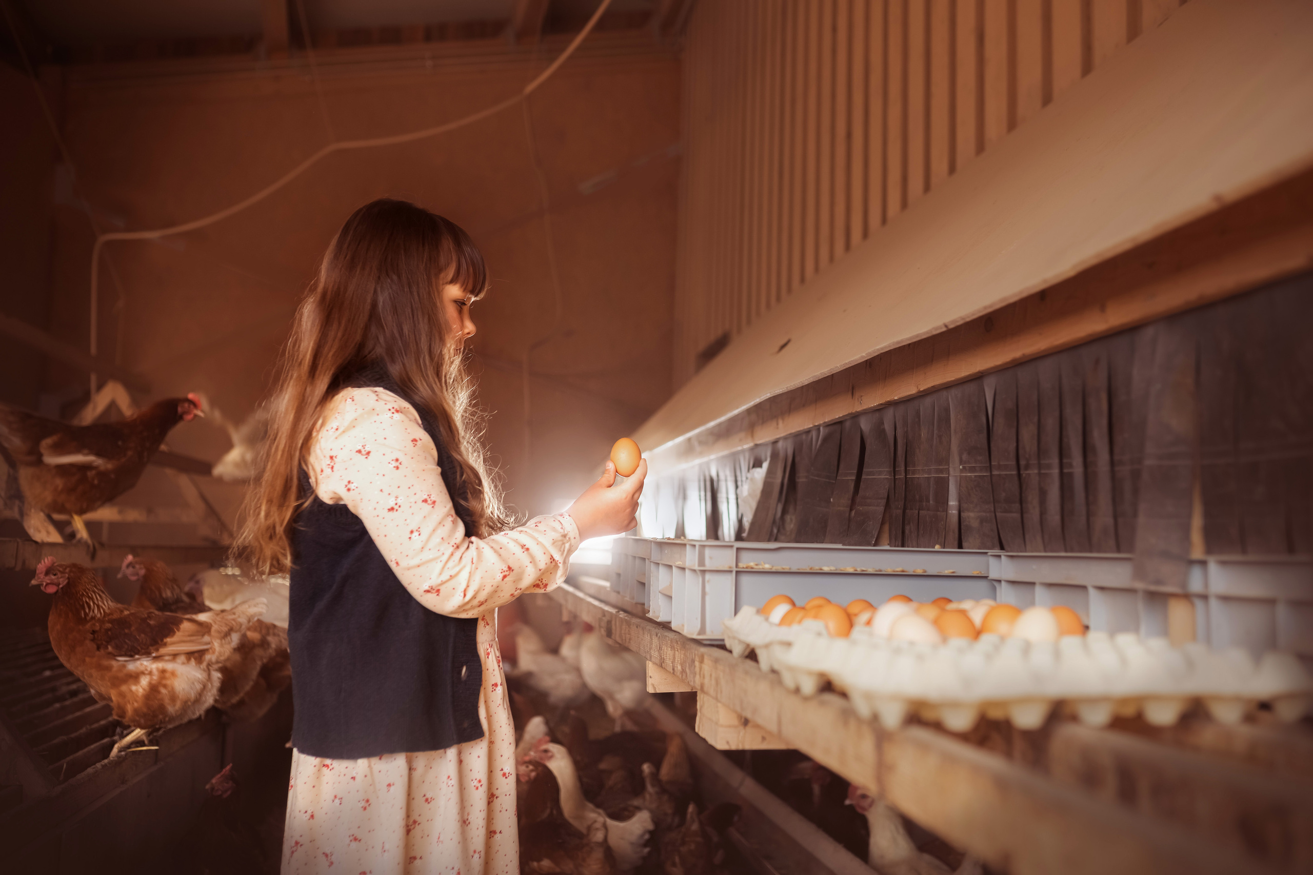 Projets créatifs. Fine Art photographer in Luxembourg Anastasia Arend