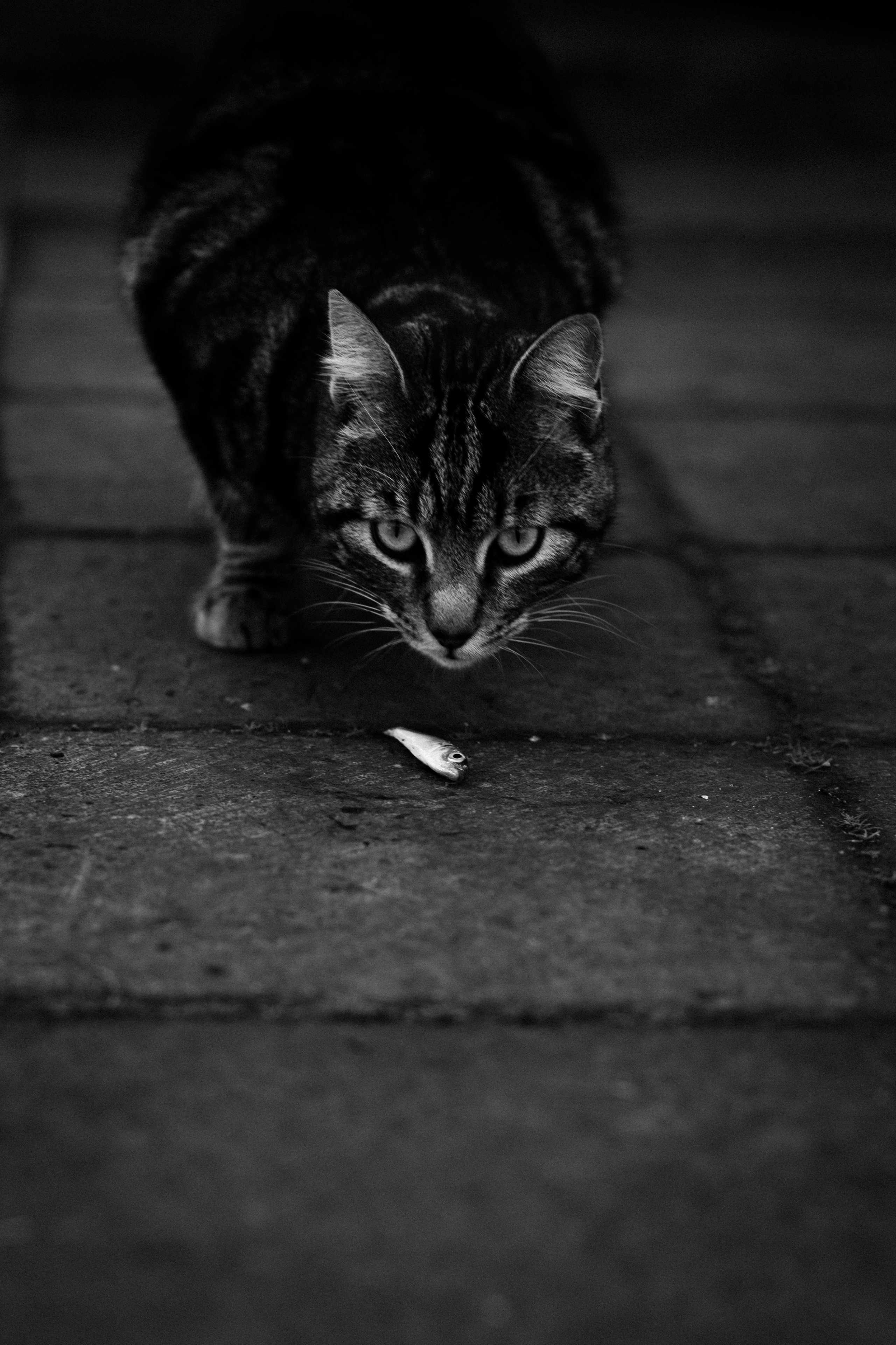 Стамбул. Фотопрогулки в Стамбуле