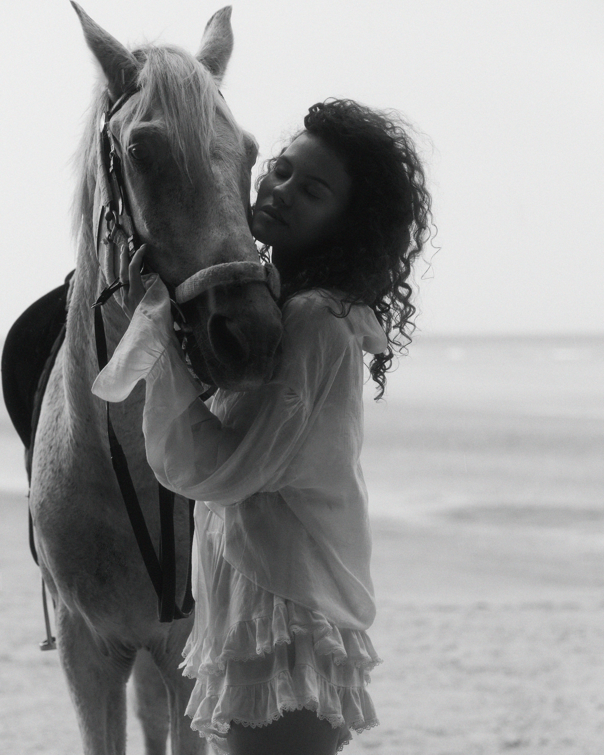 Horse. Maria Mishina Photographer Moscow, Phuket