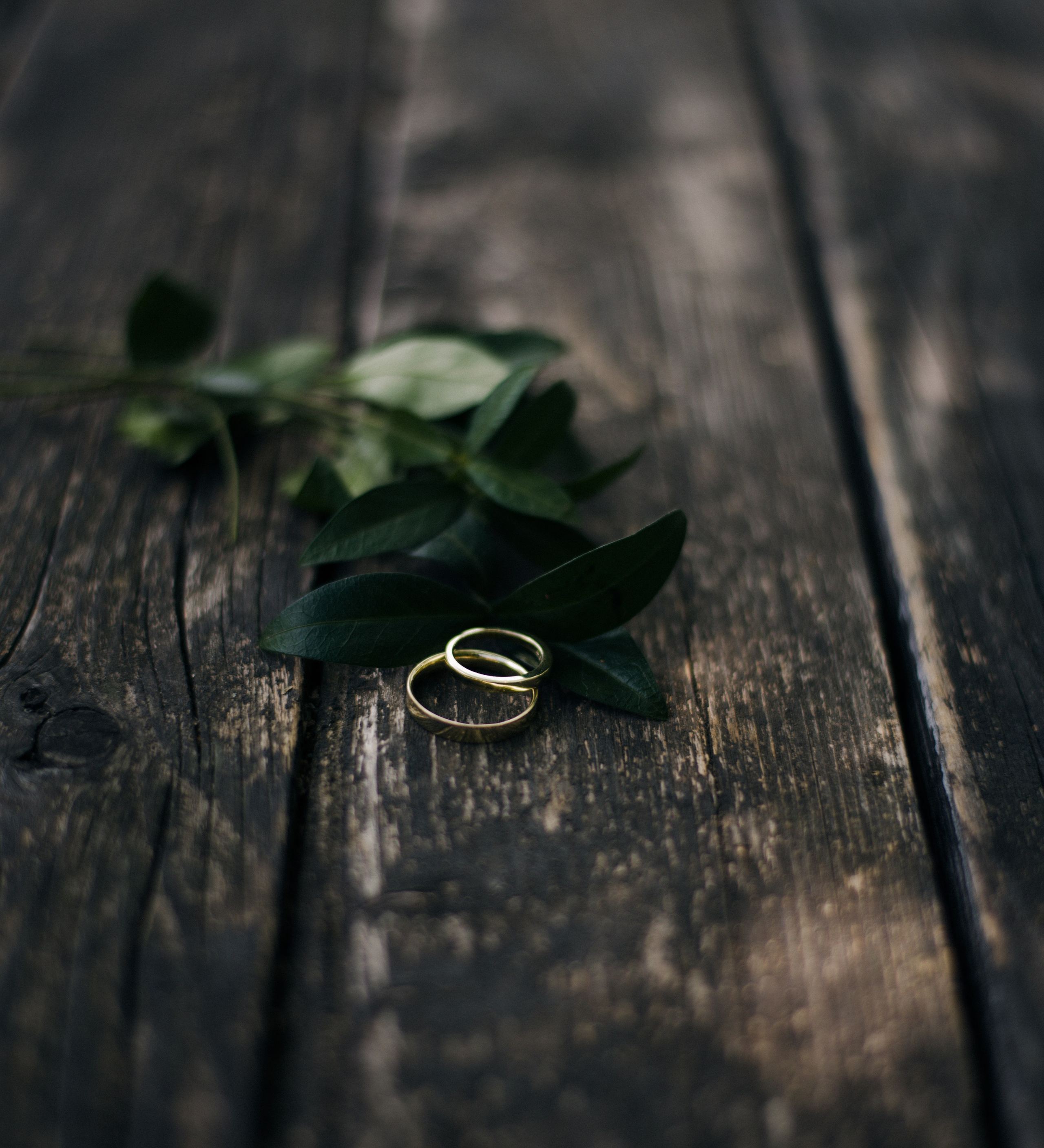 Svadby. Rodinná a svadobná fotografka v Bratislave | Prezrite si portfólio