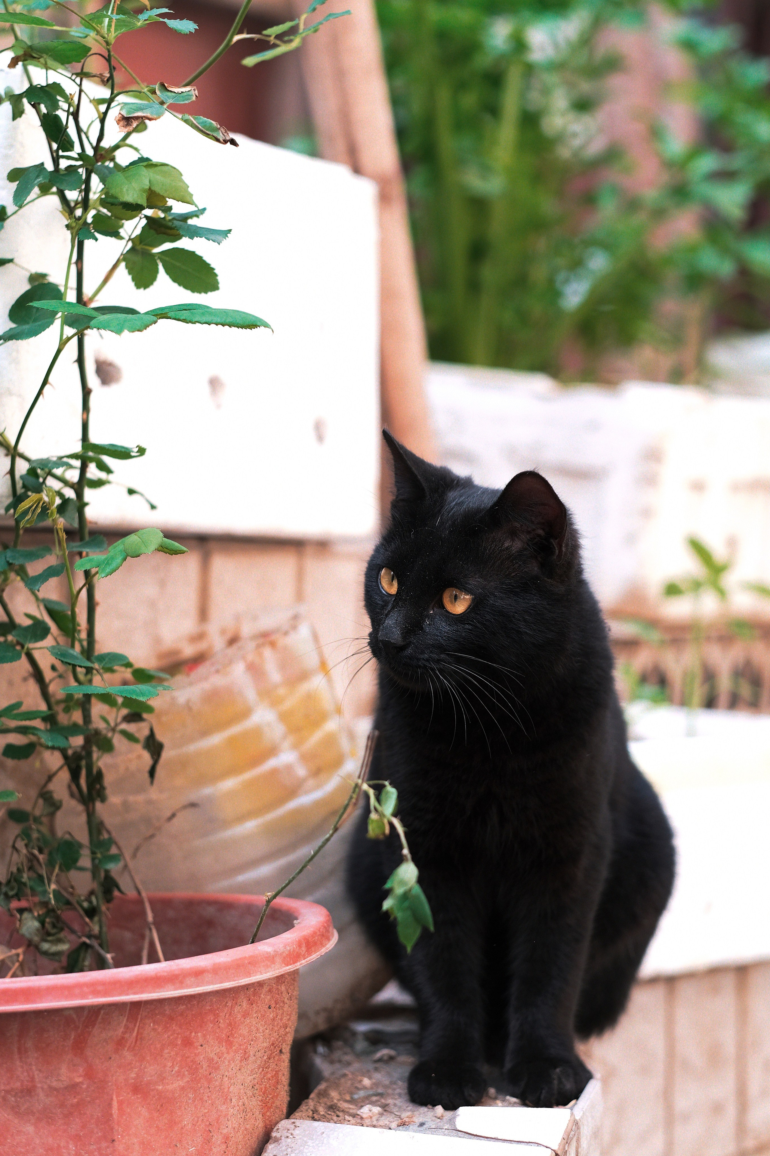 People Shanghai Street Photography | China