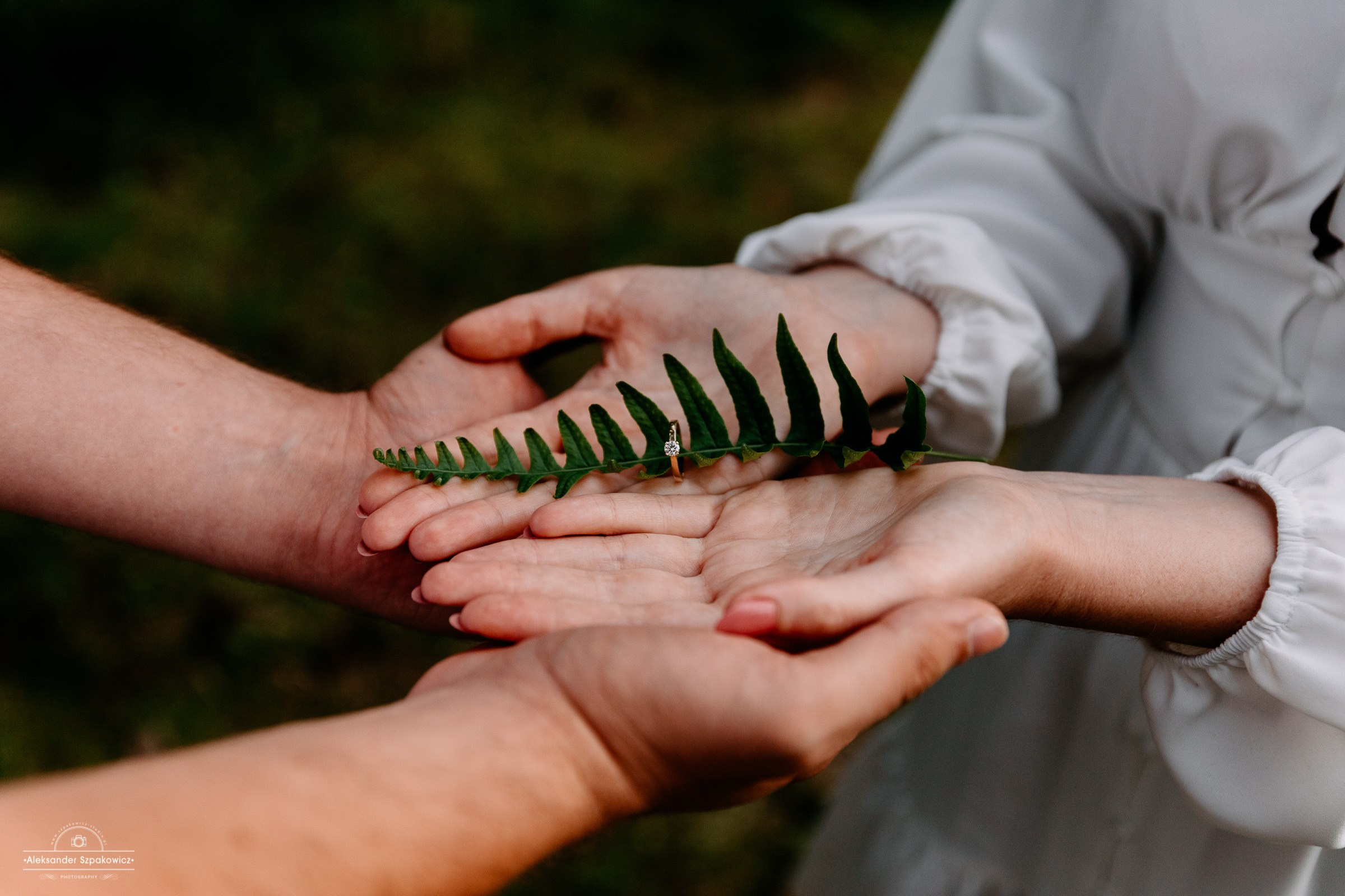 Monika ♪ Marcin. Fotograf Ślubny Warszawa - Sesje Biznesowe Rodzinne Eventy